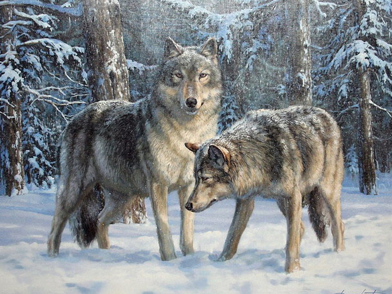 Download mobile wallpaper Wolf, Animal for free.