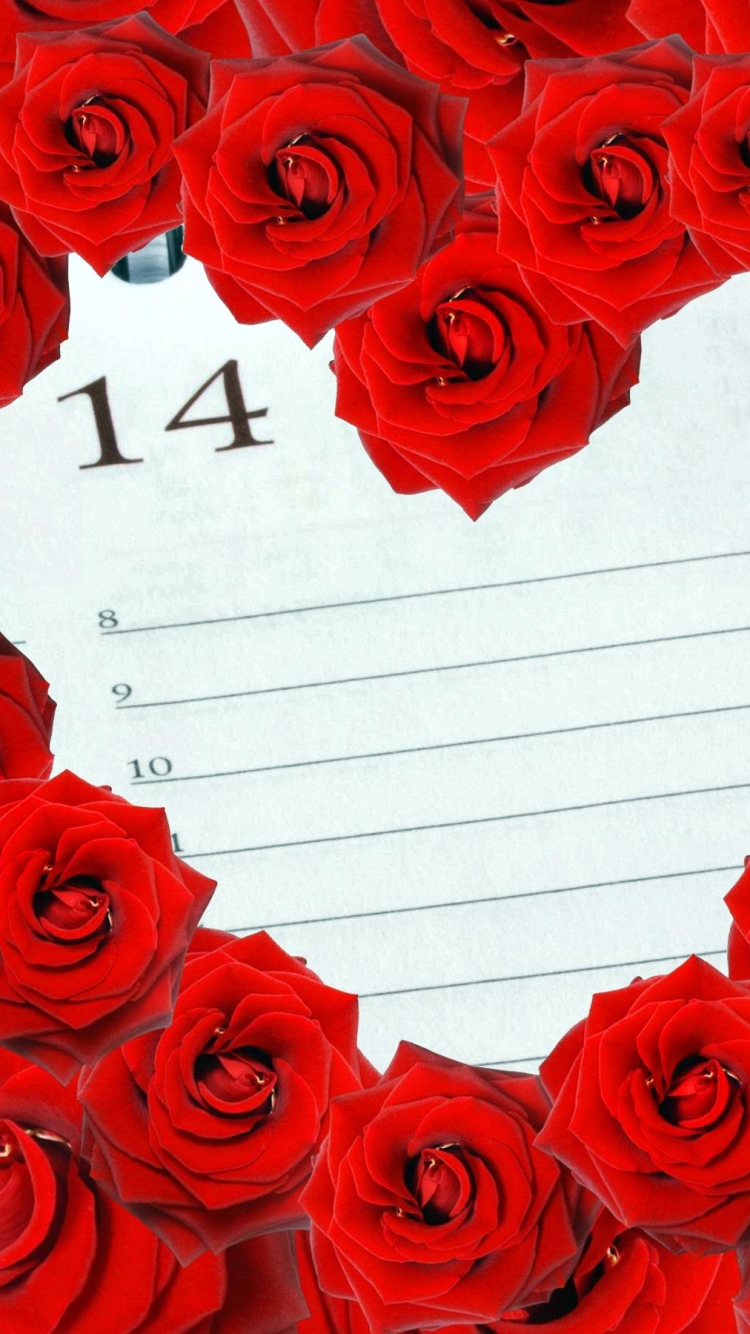 Handy-Wallpaper Feiertage, Valentinstag, Blume, Rose, Rote Rose, Rote Blume kostenlos herunterladen.