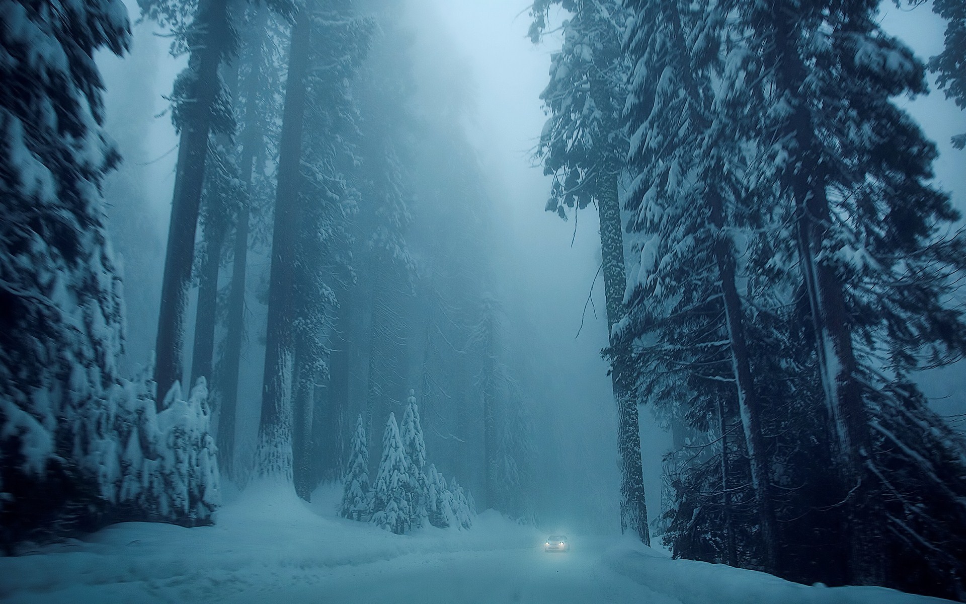 Téléchargez gratuitement l'image Hiver, Terre/nature sur le bureau de votre PC