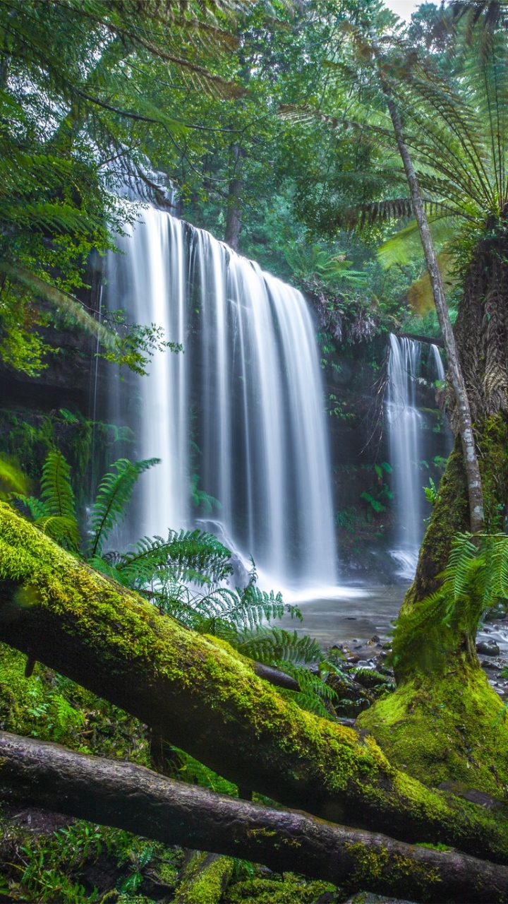 Download mobile wallpaper Nature, Waterfalls, Waterfall, Fern, Earth, Moss, Jungle for free.