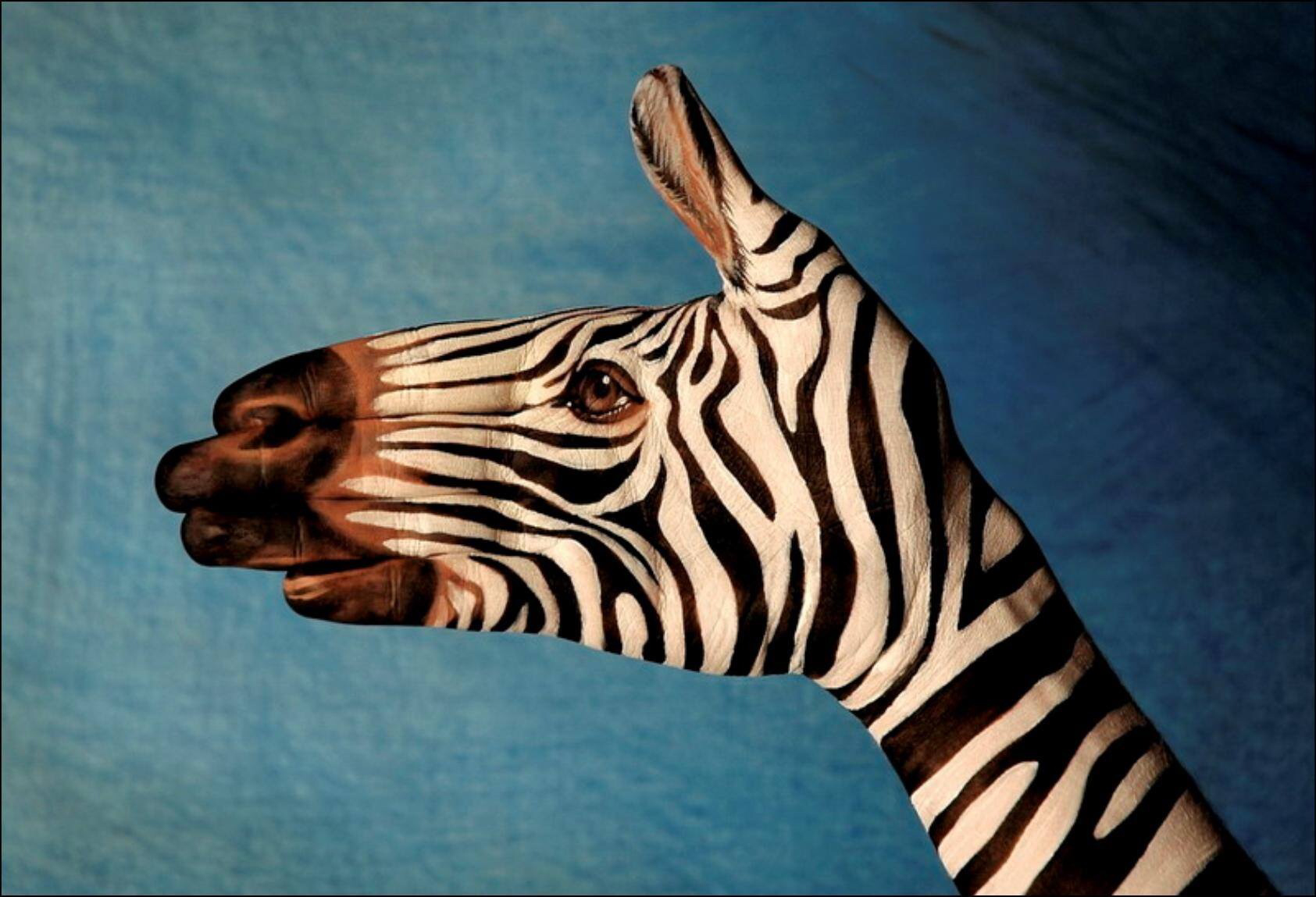 Download mobile wallpaper Zebra, Paint, Animal, Artistic for free.