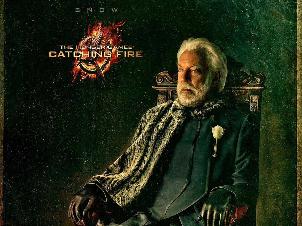 movie, the hunger games: catching fire