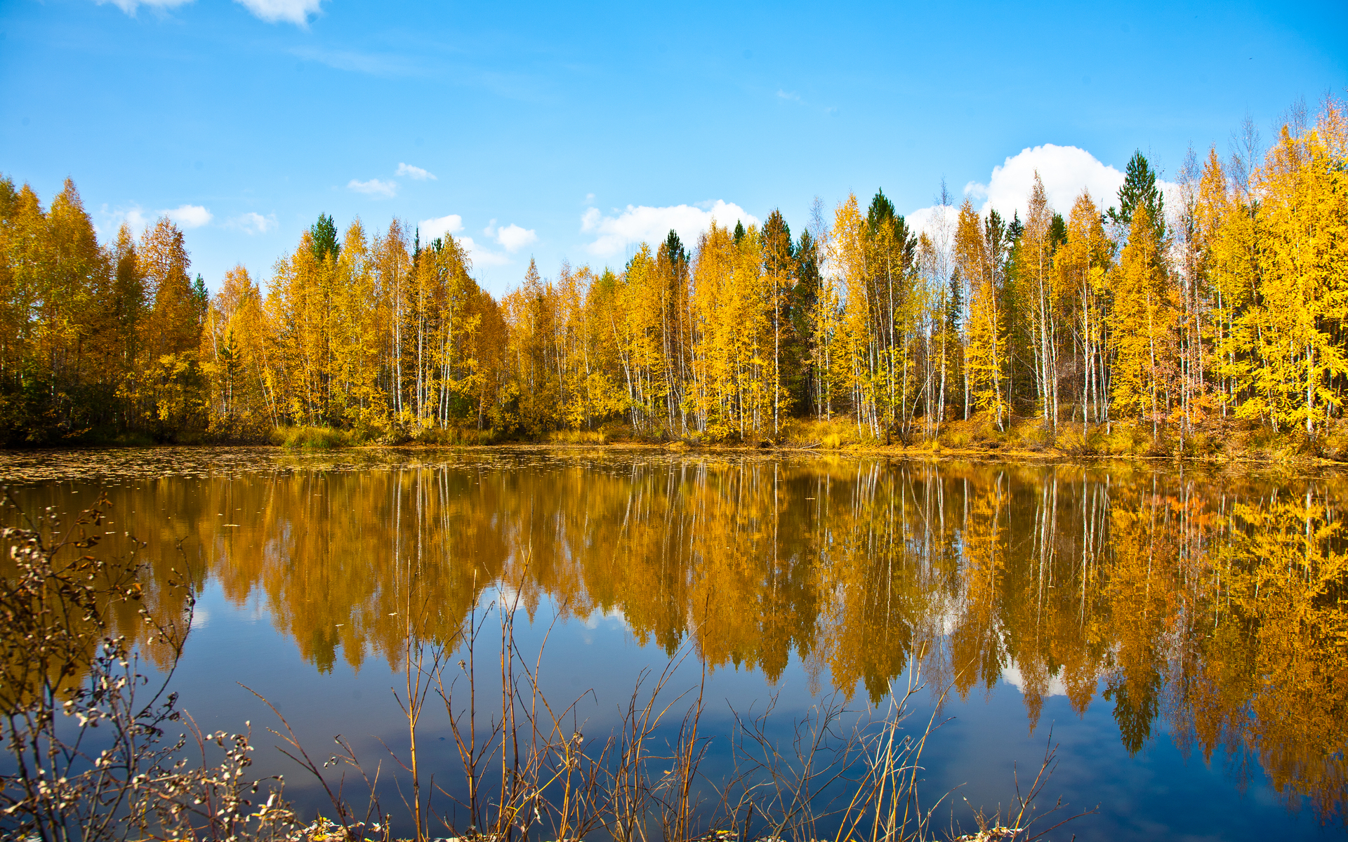 Laden Sie das Herbst, See, Teich, Erde/natur, Spiegelung-Bild kostenlos auf Ihren PC-Desktop herunter