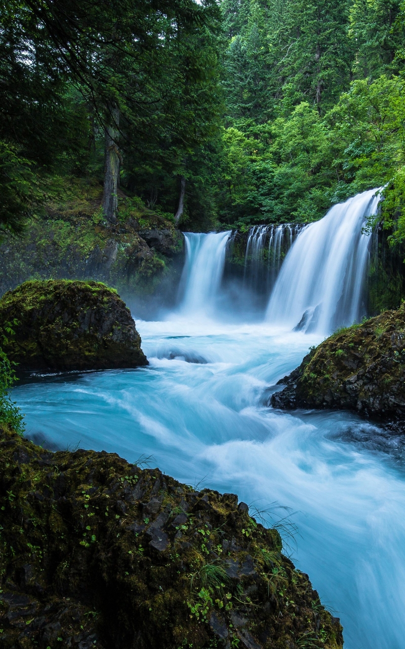 Download mobile wallpaper Nature, Waterfalls, Waterfall, Earth, Foam, River, Greenery for free.