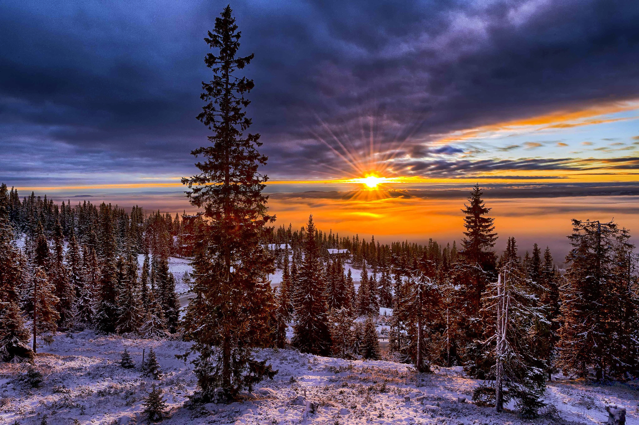 Download mobile wallpaper Winter, Sunset, Snow, Horizon, Tree, Earth, Cloud, Sunbeam for free.