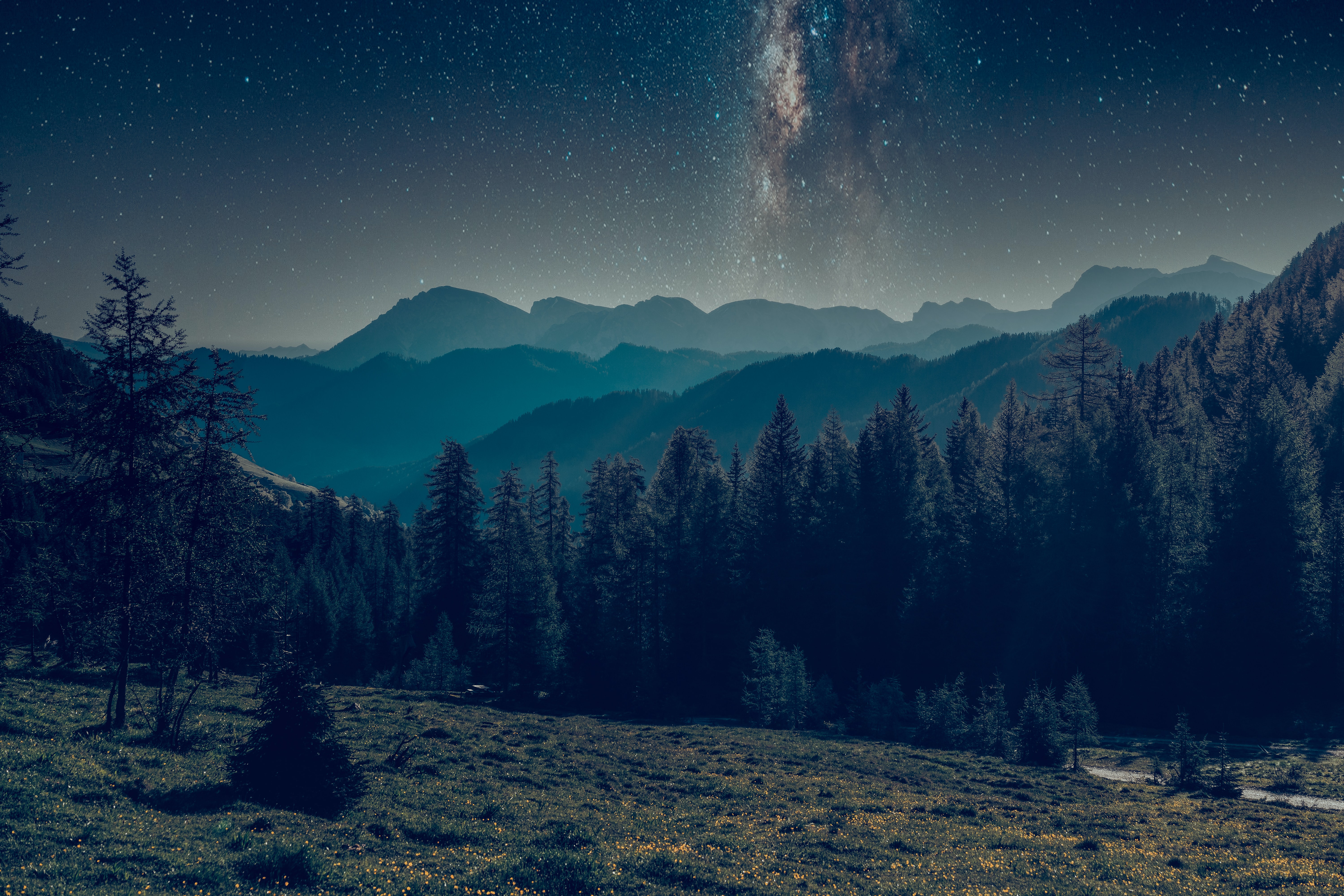 Laden Sie das Natur, Mountains, Übernachtung, Wald, Sternenhimmel, Landschaft-Bild kostenlos auf Ihren PC-Desktop herunter