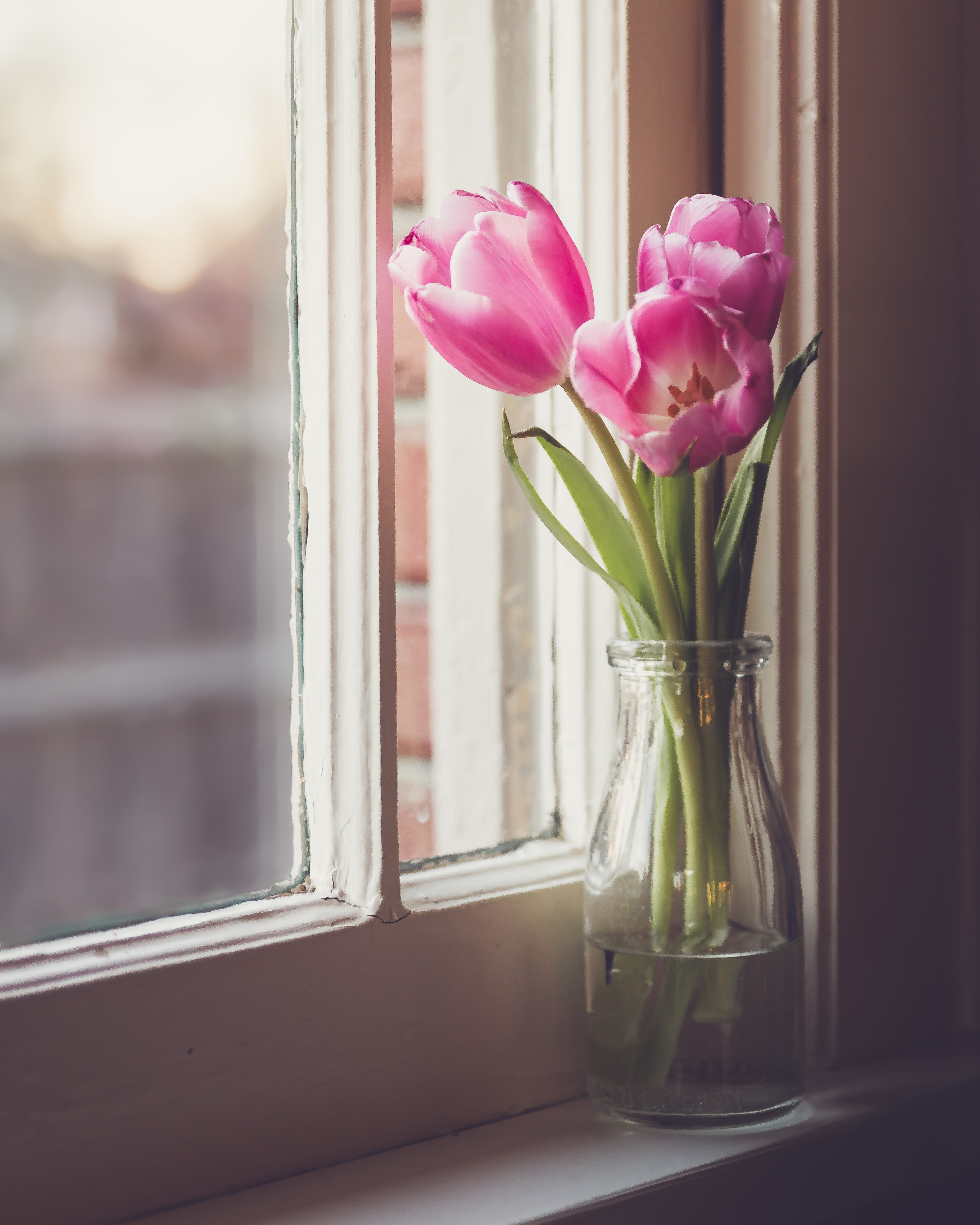 56672 baixar papel de parede tulipas, flores, janela, vaso - protetores de tela e imagens gratuitamente