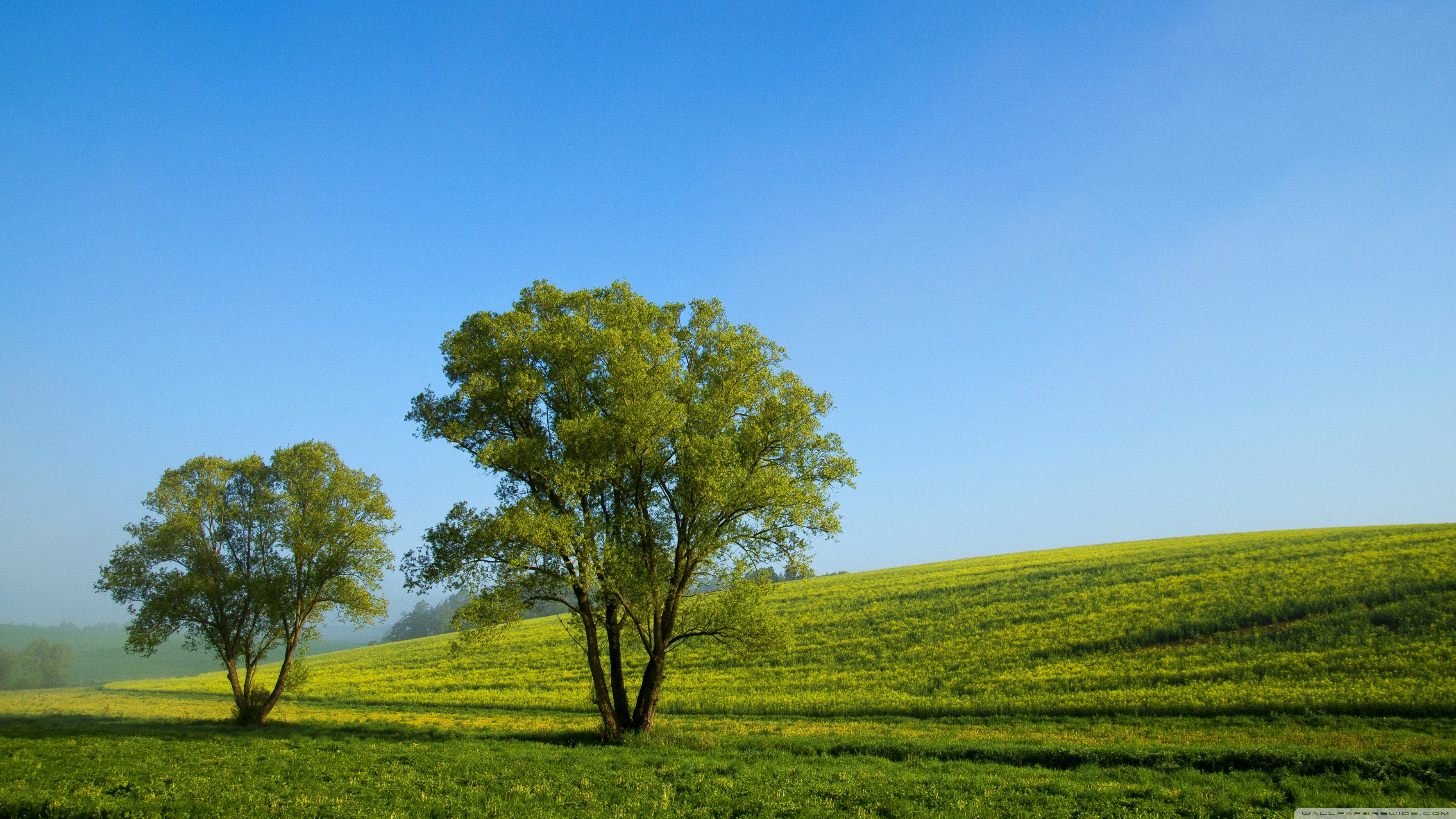 Free download wallpaper Landscape, Tree, Earth, Spring on your PC desktop