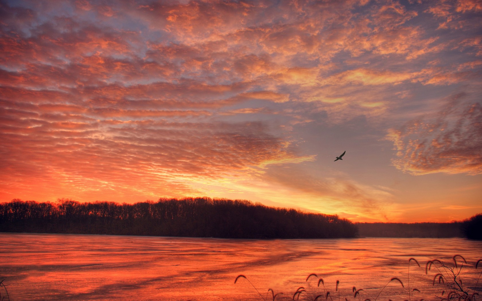 Descarga gratuita de fondo de pantalla para móvil de Tierra/naturaleza, Atardecer.