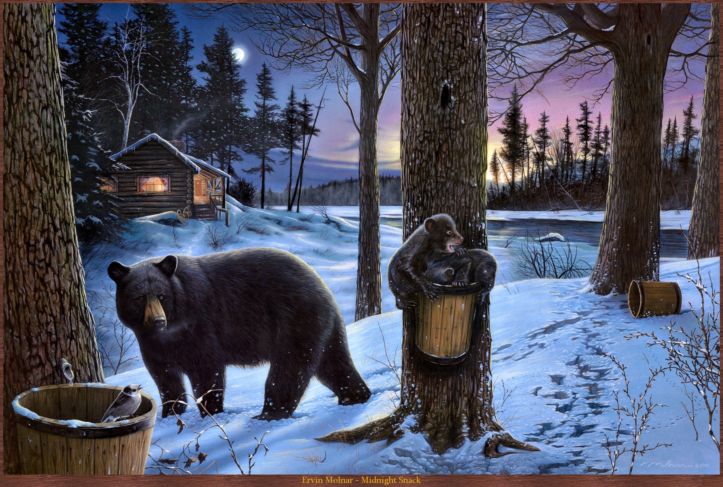 Скачать картинку Животные, Медведи, Медведь в телефон бесплатно.