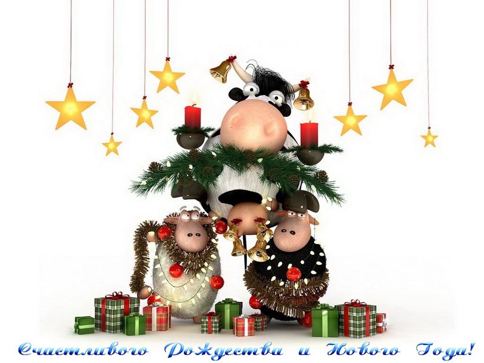 3550 скачать картинку рождество (christmas xmas), новый год (new year), праздники, коровы - обои и заставки бесплатно