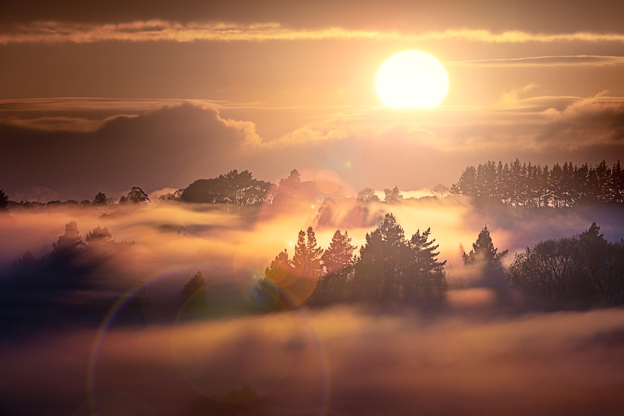 Free download wallpaper New Zealand, Fog, Sunrise, Earth on your PC desktop