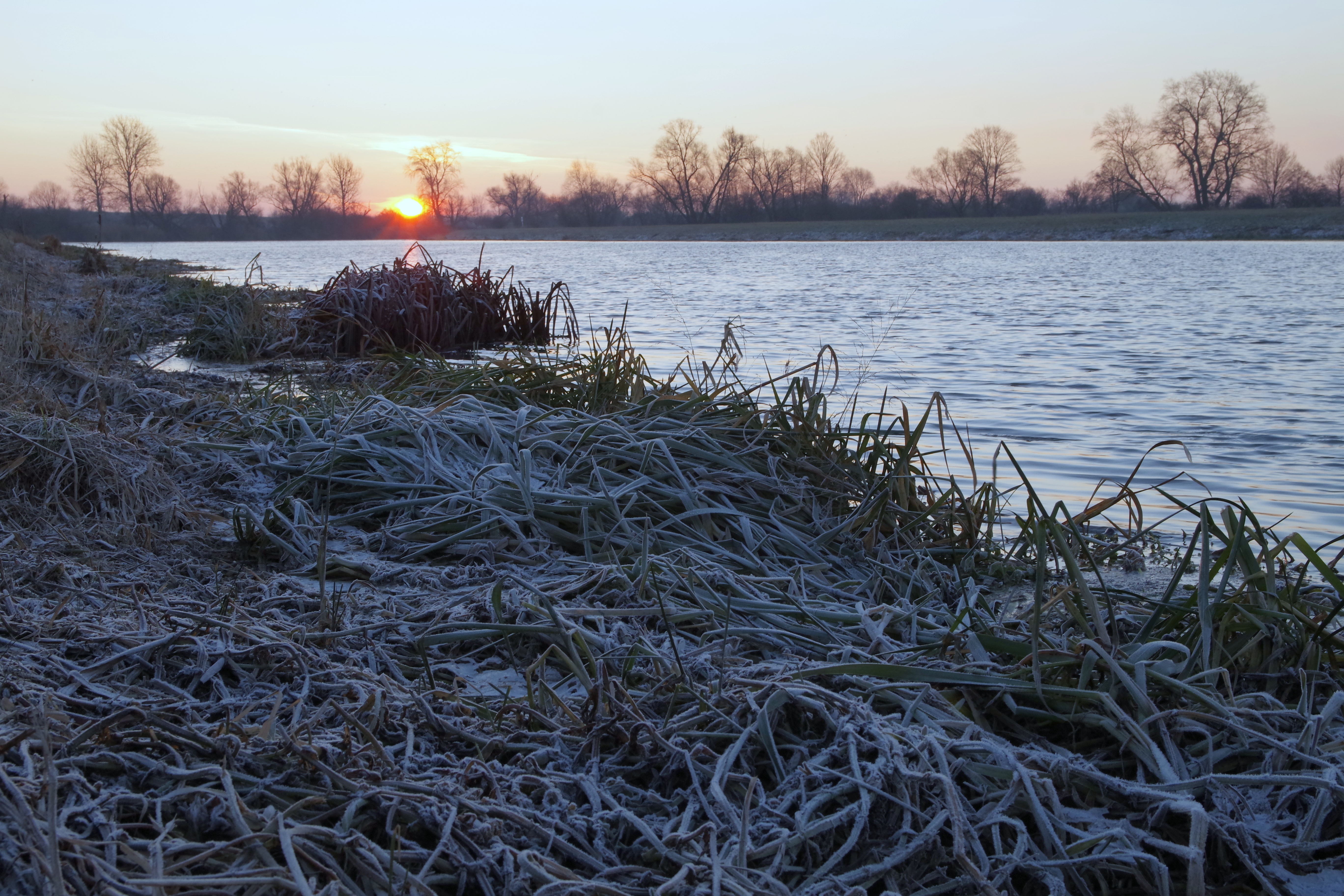 Download mobile wallpaper Hoarfrost, Grass, Frost, Lake, Nature, Dawn for free.