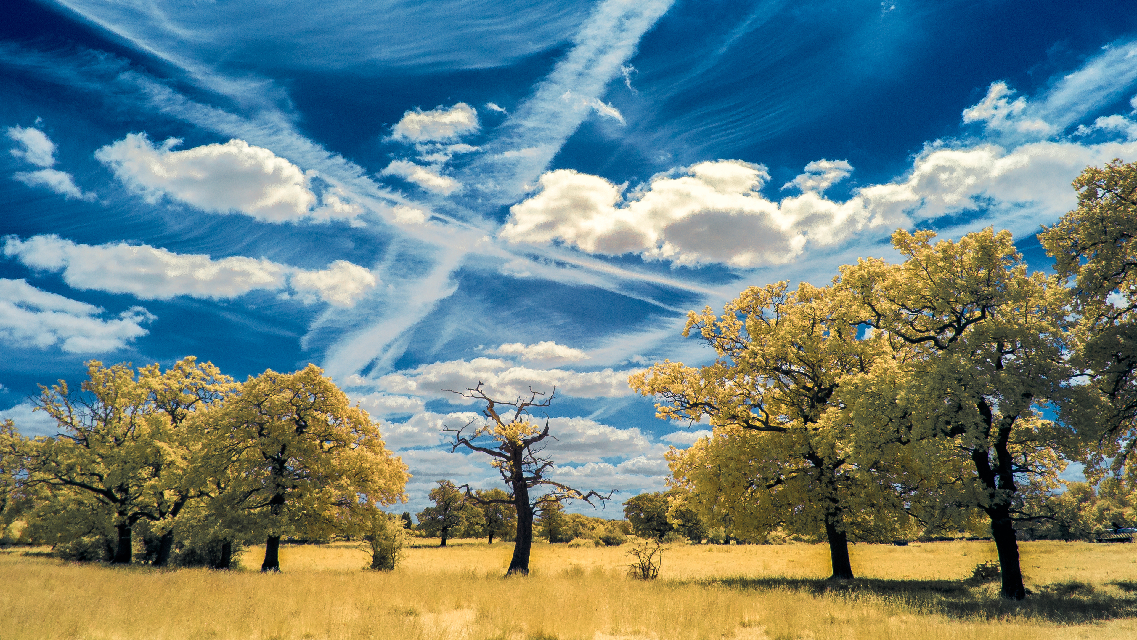 Free download wallpaper Landscape, Nature, Sky, Tree, Earth, Cloud on your PC desktop
