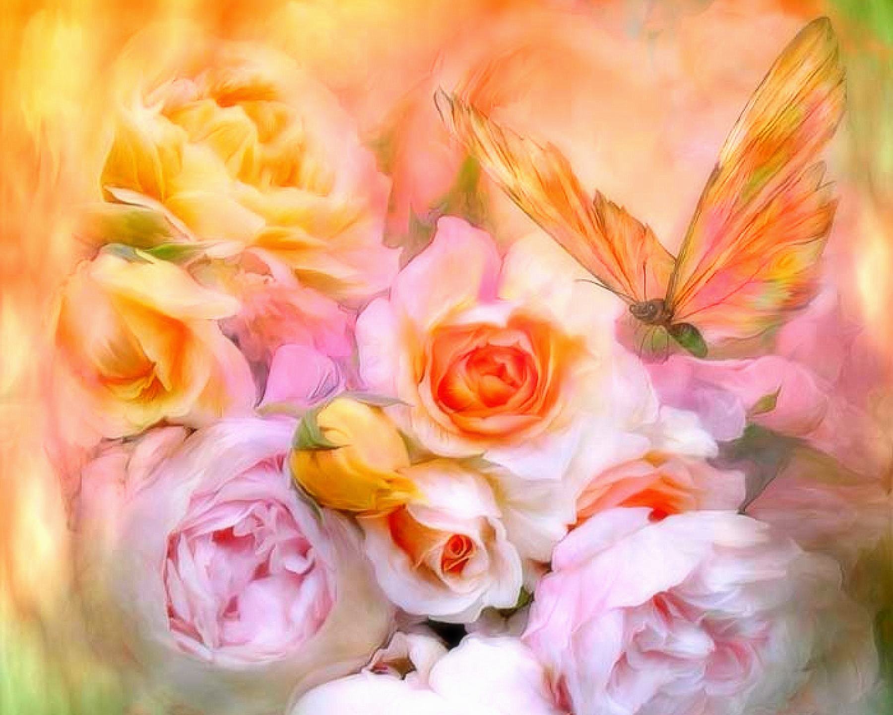 Laden Sie das Rose, Farben, Schmetterling, Pastell, Künstlerisch-Bild kostenlos auf Ihren PC-Desktop herunter