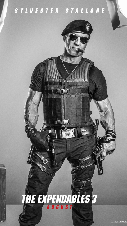 galgo (the expendables), arnold schwarzenegger, max drummer, the expendables 3, movie, randy couture, sylvester stallone, dolph lundgren, wesley snipes, harrison ford, jason statham, antonio banderas, barney ross, doc (the expendables), trench (the expendables), lee christmas, gunnar jensen, toll road, the expendables