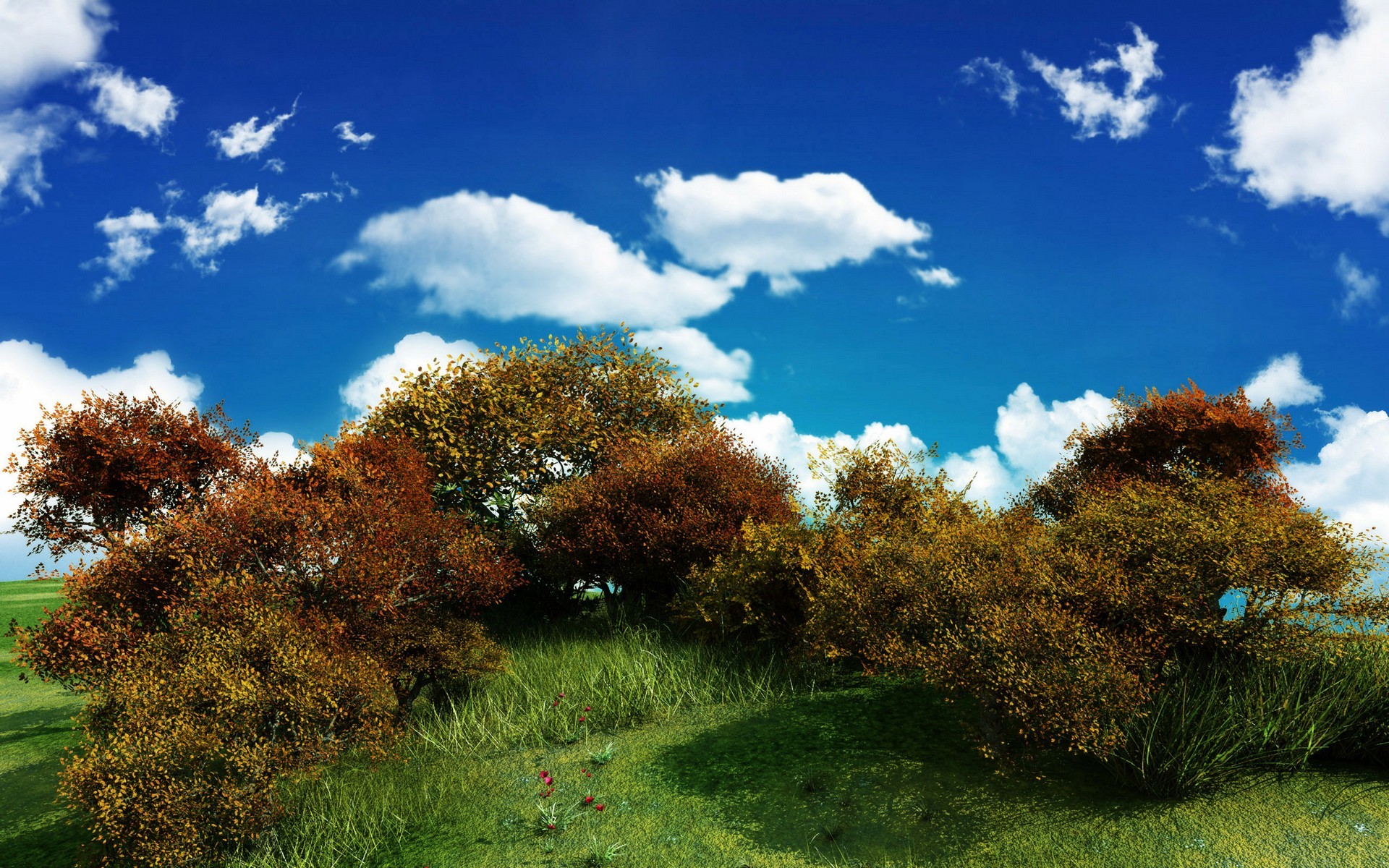 Скачать обои бесплатно Деревья, Небо, Облака, Цветок, Дерево, Поле, Луга, Ландшафт, Фотография, Земля/природа картинка на рабочий стол ПК