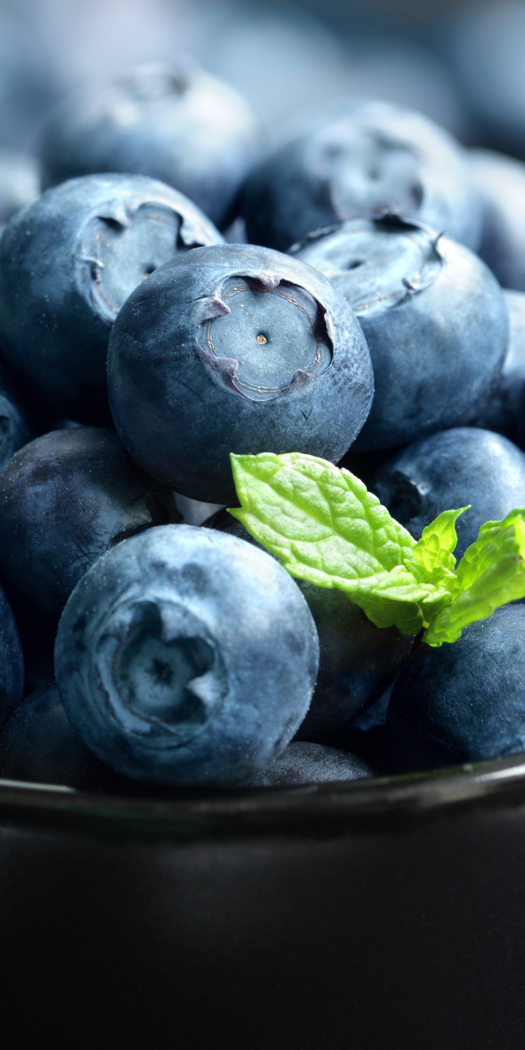 Download mobile wallpaper Food, Blueberry, Berry for free.