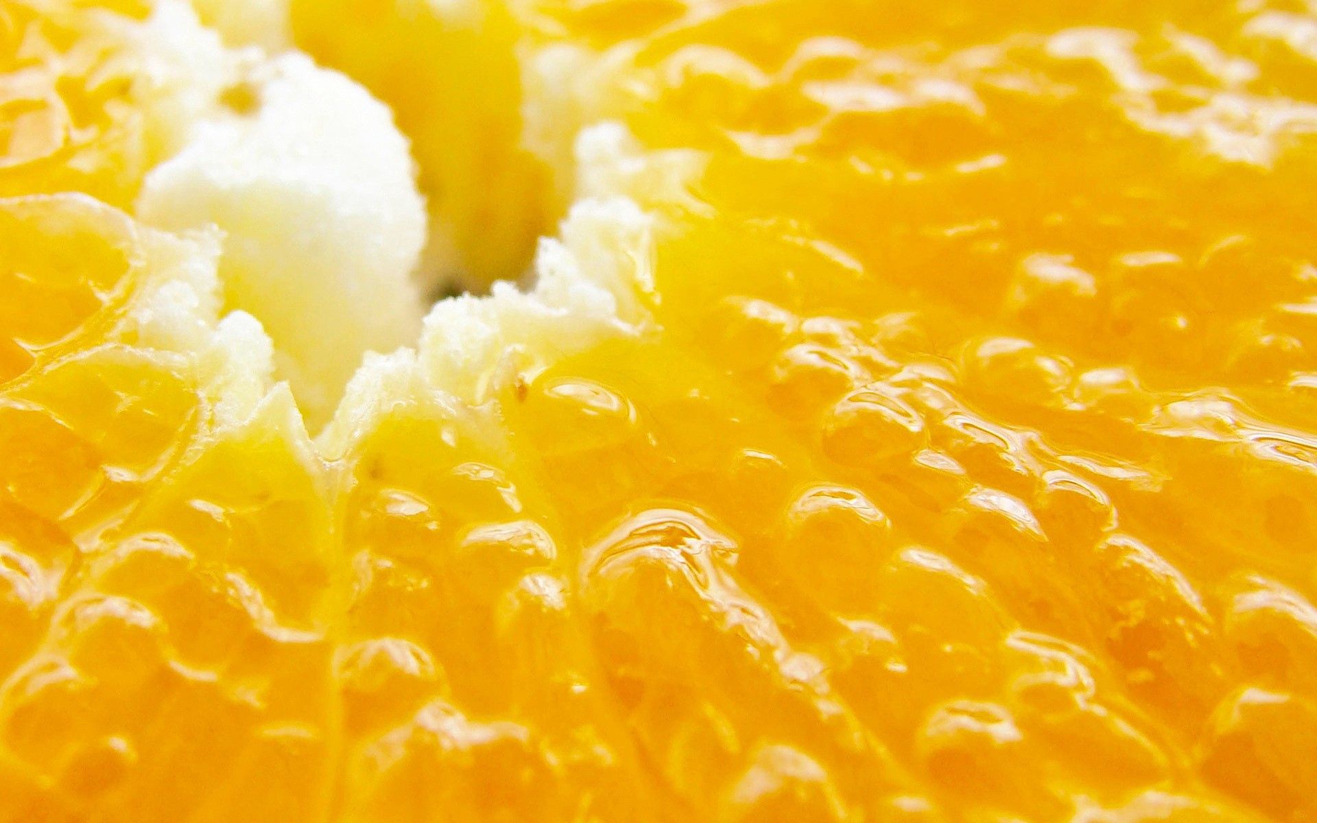120735 descargar fondo de pantalla naranja, macro, la fruta, fruta, sabroso, delicioso: protectores de pantalla e imágenes gratis