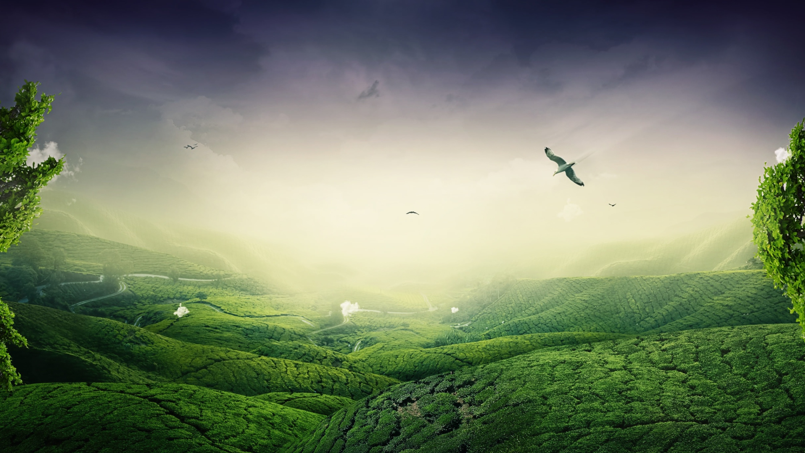 Free download wallpaper Fantasy, Landscape on your PC desktop