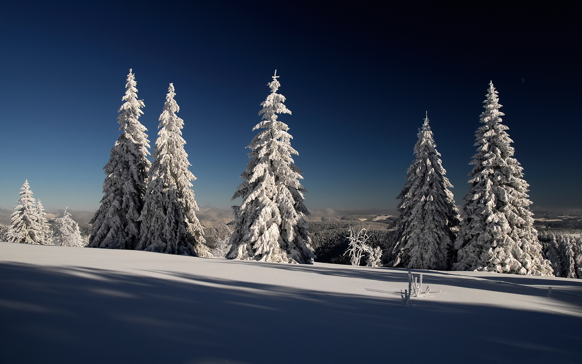 Laden Sie das Winter, Schnee, Erde/natur-Bild kostenlos auf Ihren PC-Desktop herunter