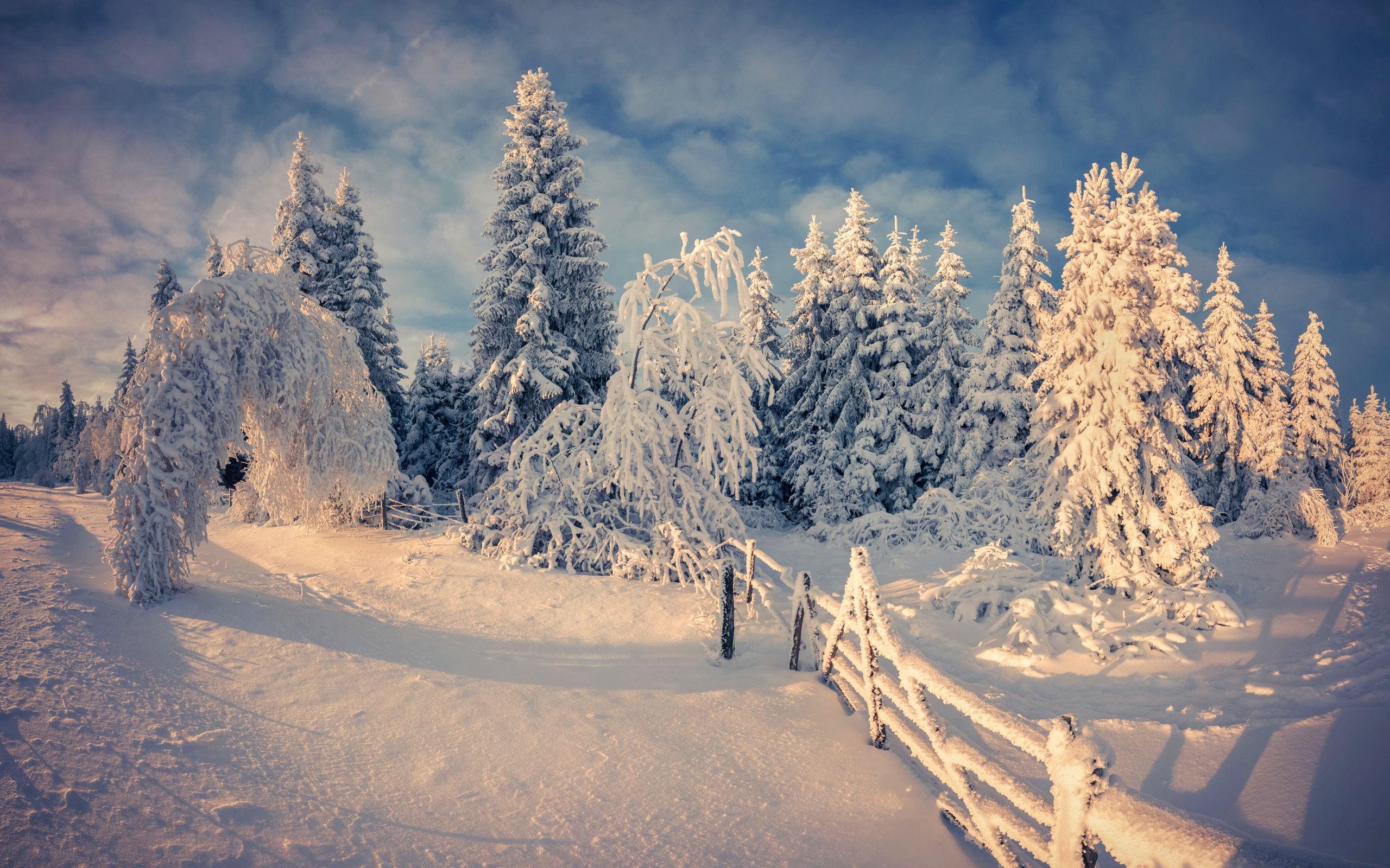 Скачати мобільні шпалери Зима, Фотографія безкоштовно.