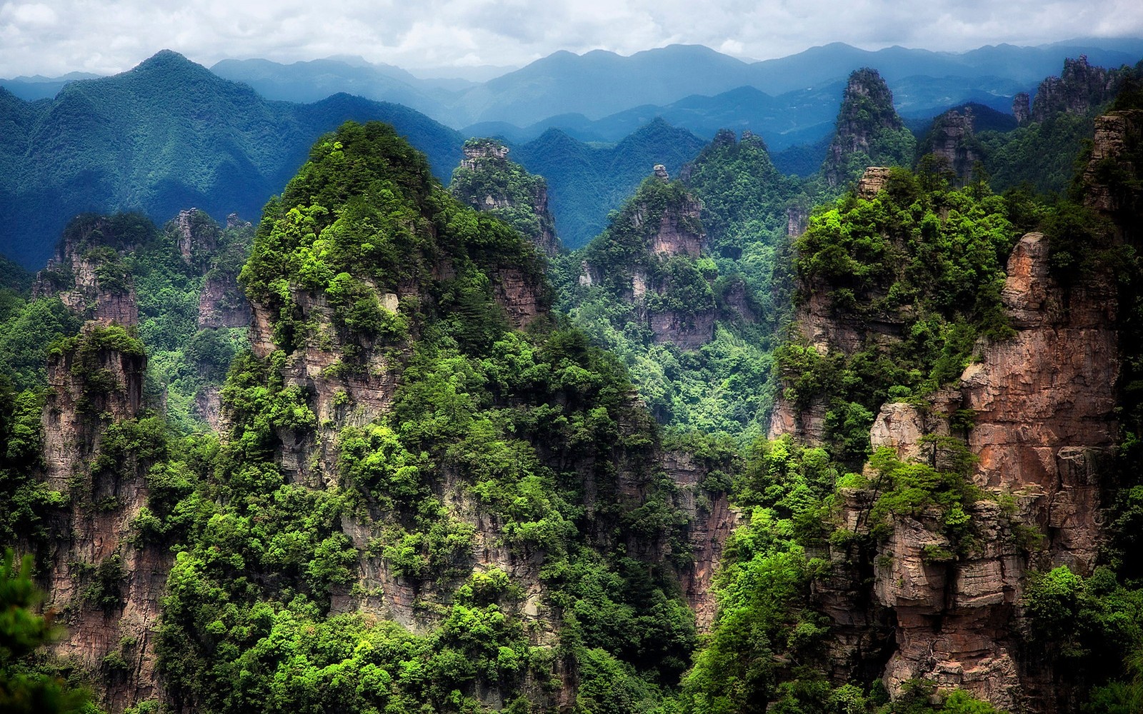 Handy-Wallpaper Landschaft, Baum, Klippe, Gebirge, Nationalpark, China, Erde/natur, Nationaler Waldpark Zhangjiajie kostenlos herunterladen.