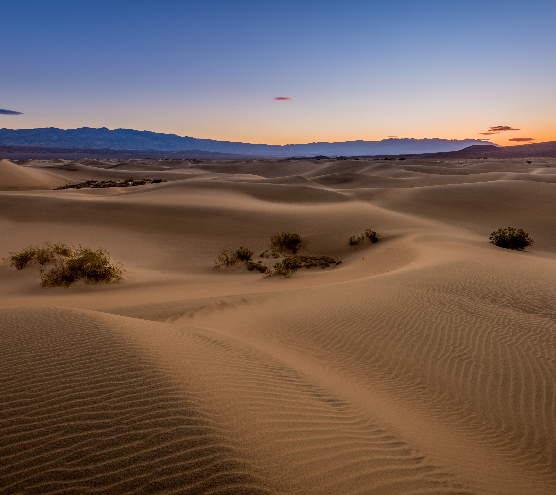 earth, desert, dune, california, morning, death valley