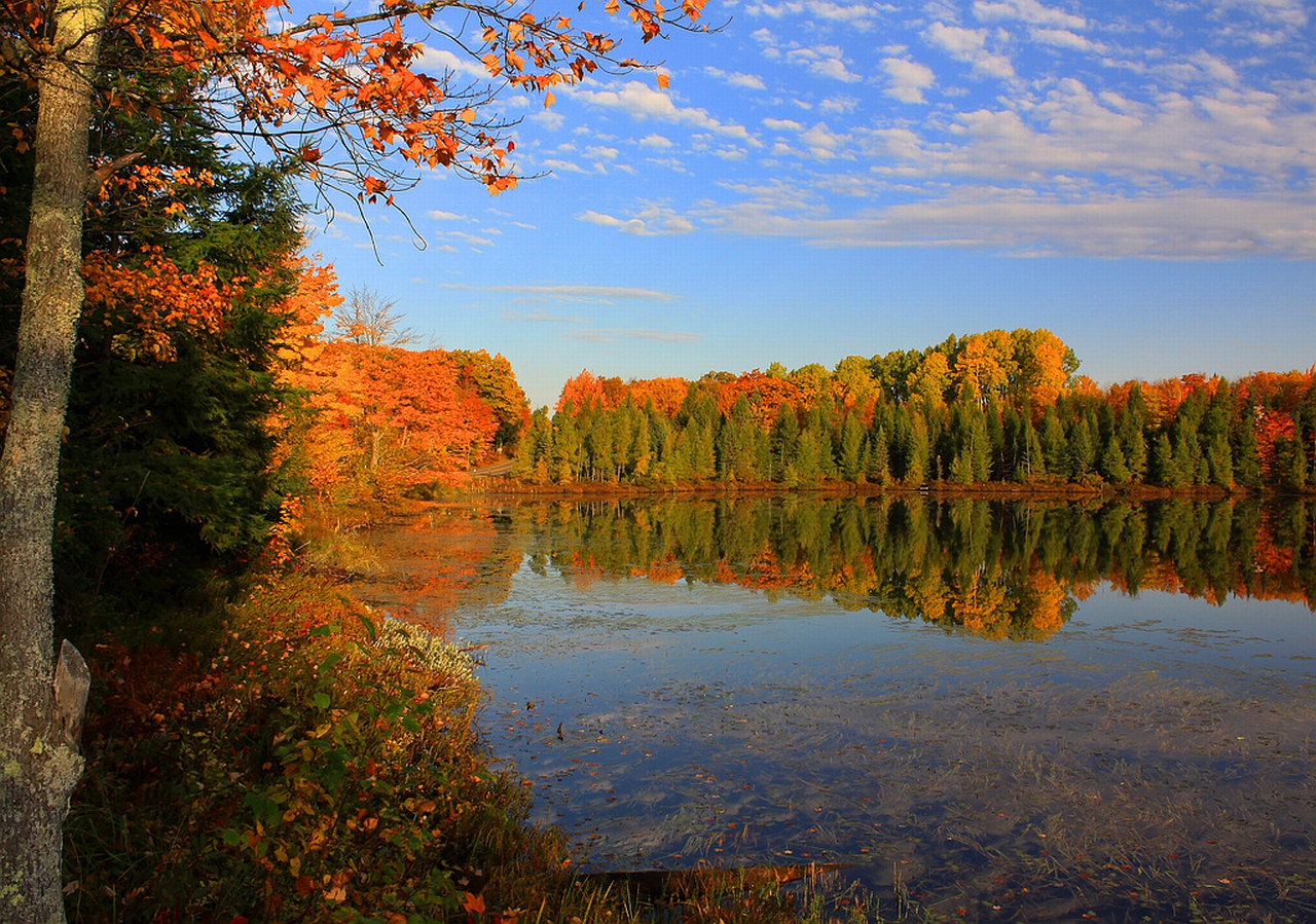 Laden Sie das Erde/natur, Spiegelung-Bild kostenlos auf Ihren PC-Desktop herunter