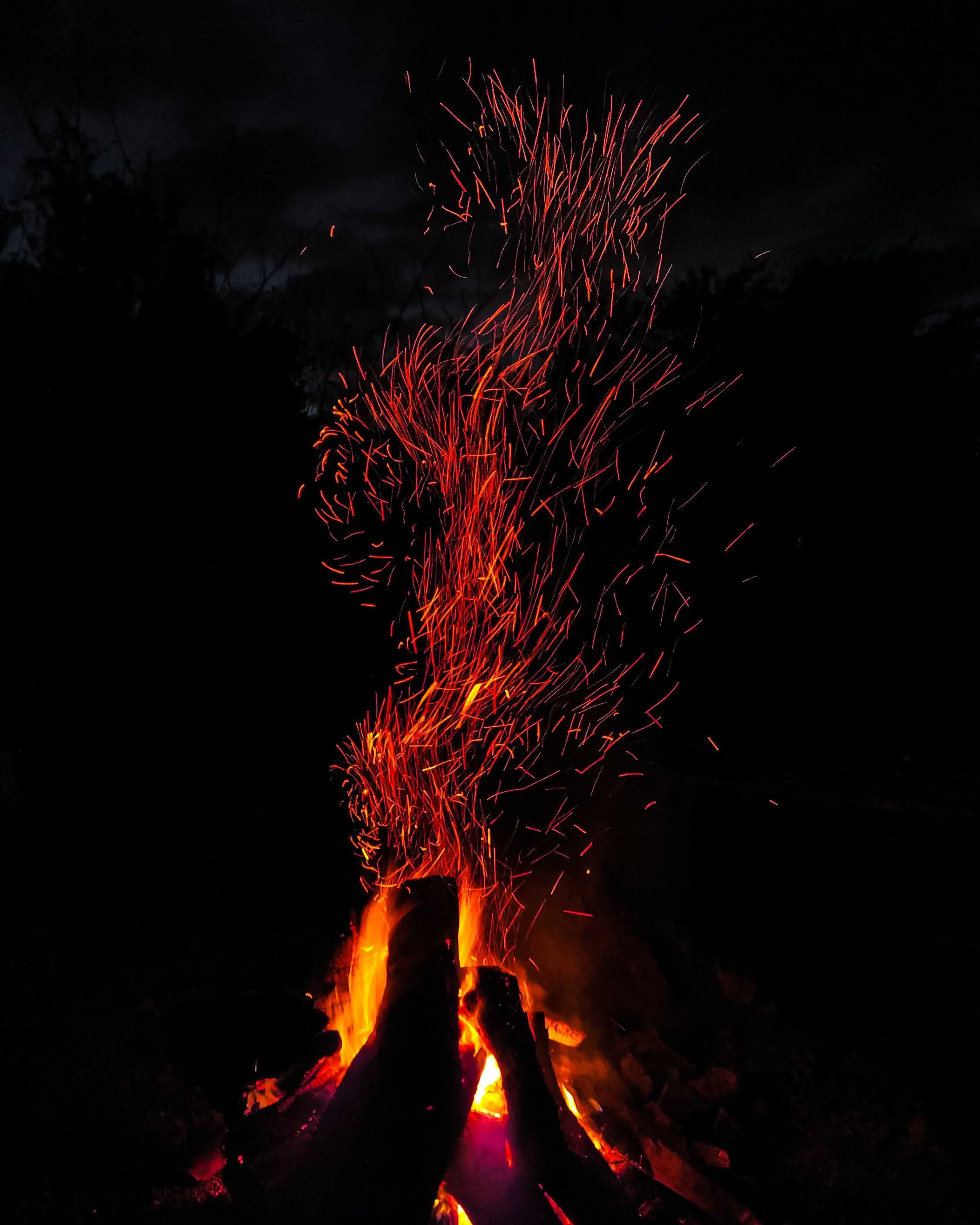 bonfire, dark, firewood, sparks