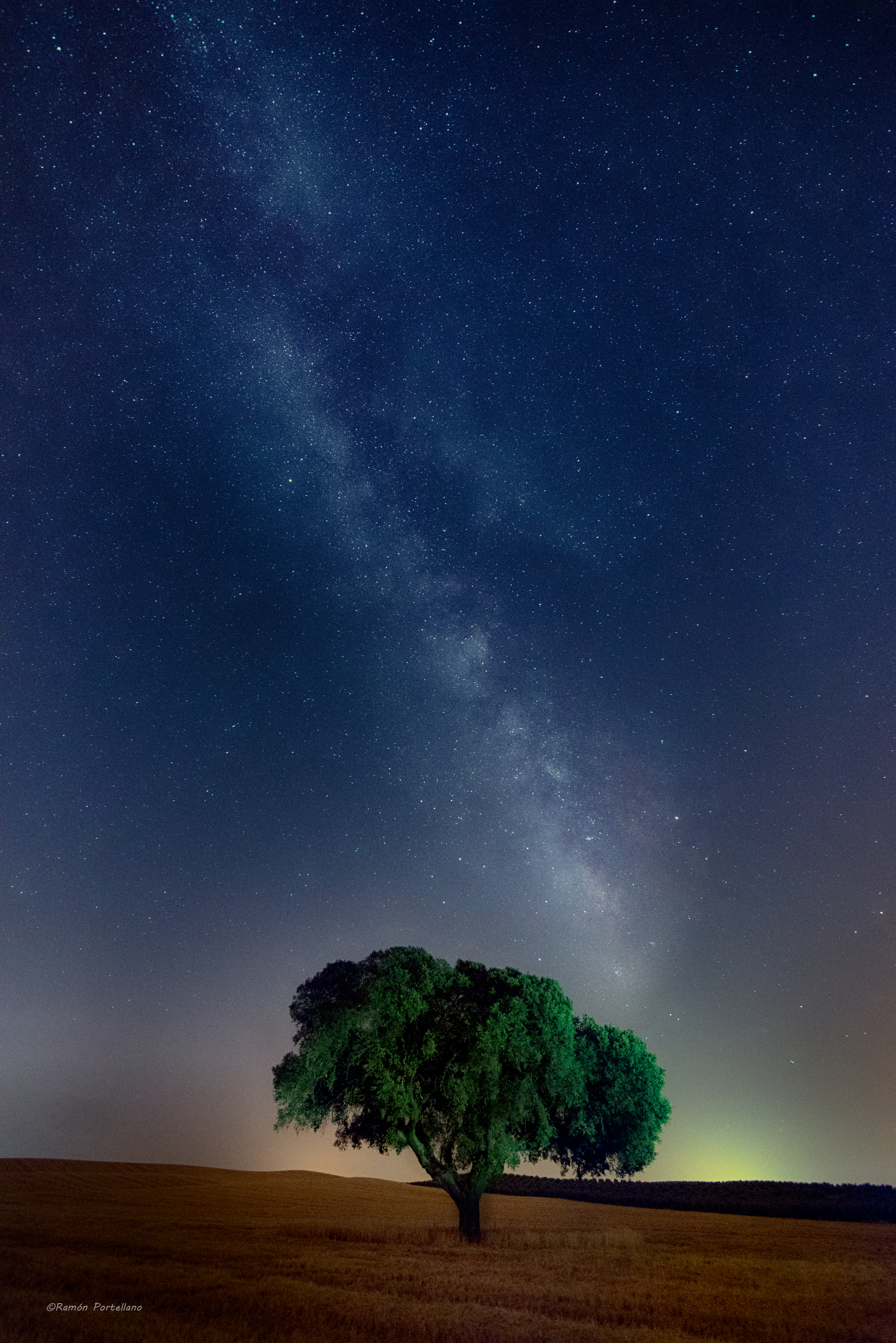 Скачать картинку Дерево, Звездное Небо, Поле, Трава, Природа, Ночь в телефон бесплатно.