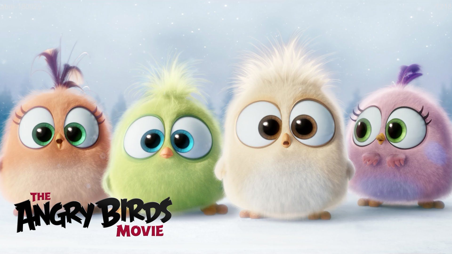 398762 Bildschirmschoner und Hintergrundbilder Angry Birds Der Film auf Ihrem Telefon. Laden Sie  Bilder kostenlos herunter