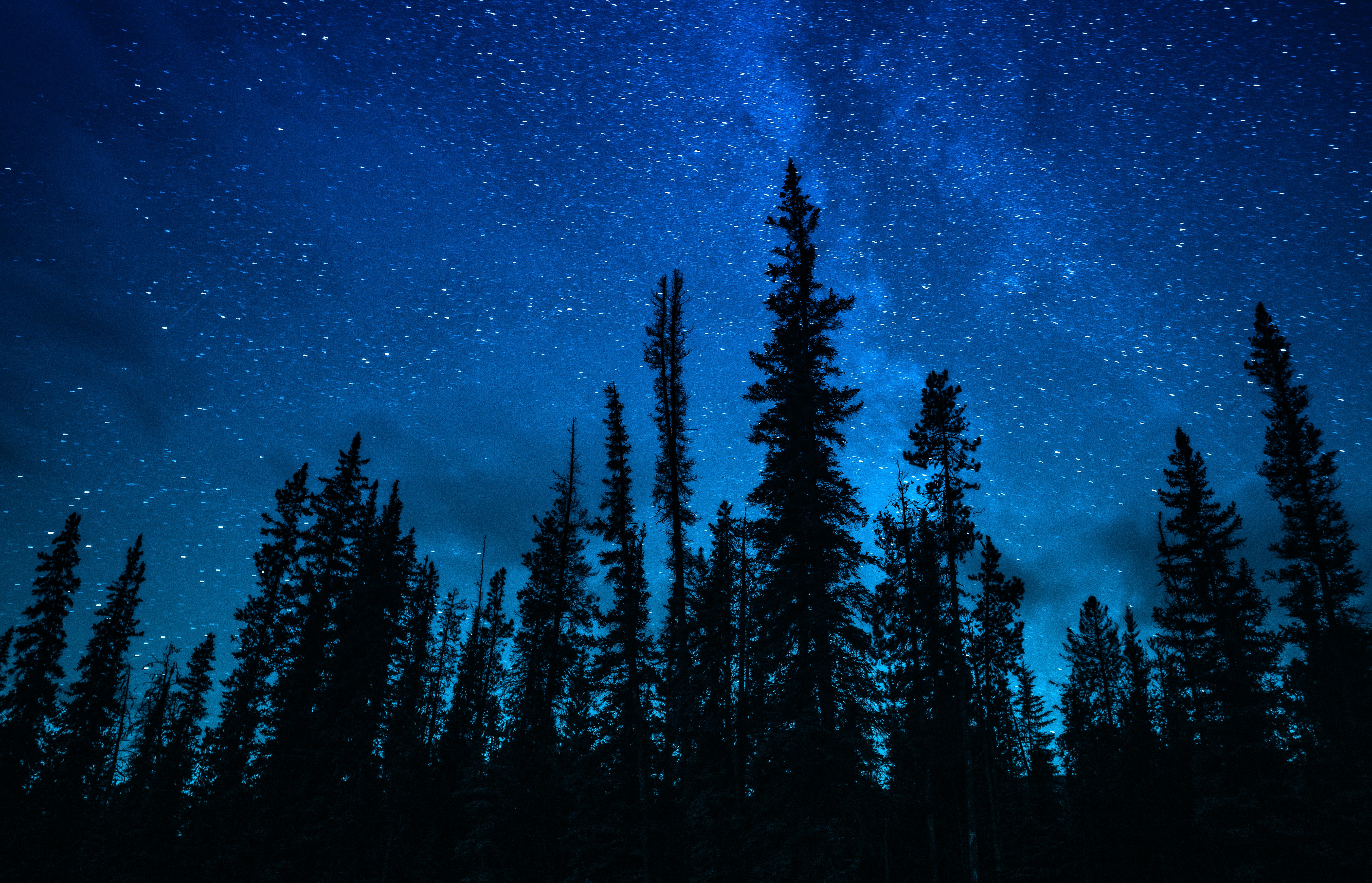 89527 descargar imagen cielo estrellado, oscuro, naturaleza, árboles, cielo, noche: fondos de pantalla y protectores de pantalla gratis