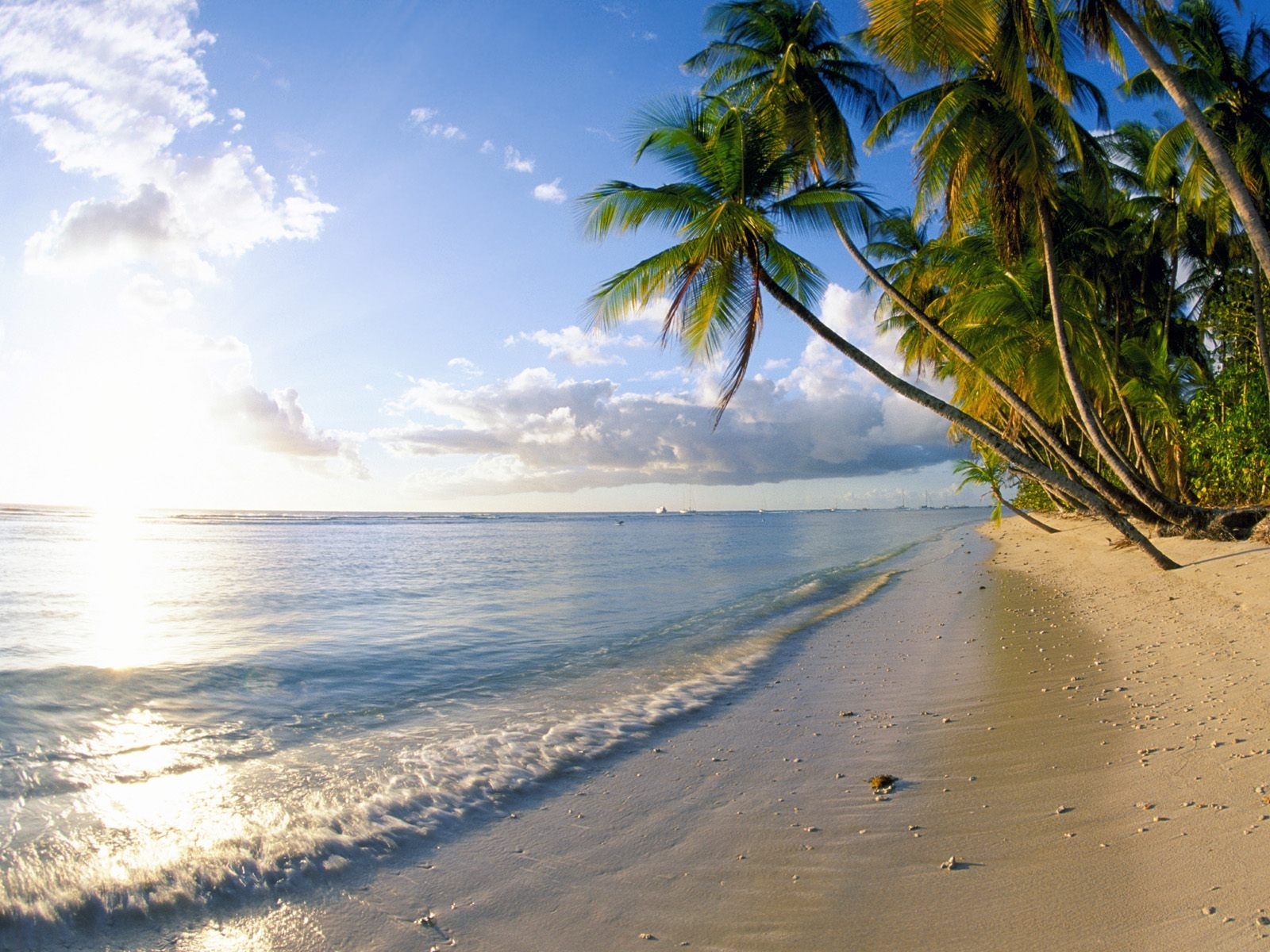 3482 télécharger l'image paysage, plage, eau, mer, palms - fonds d'écran et économiseurs d'écran gratuits