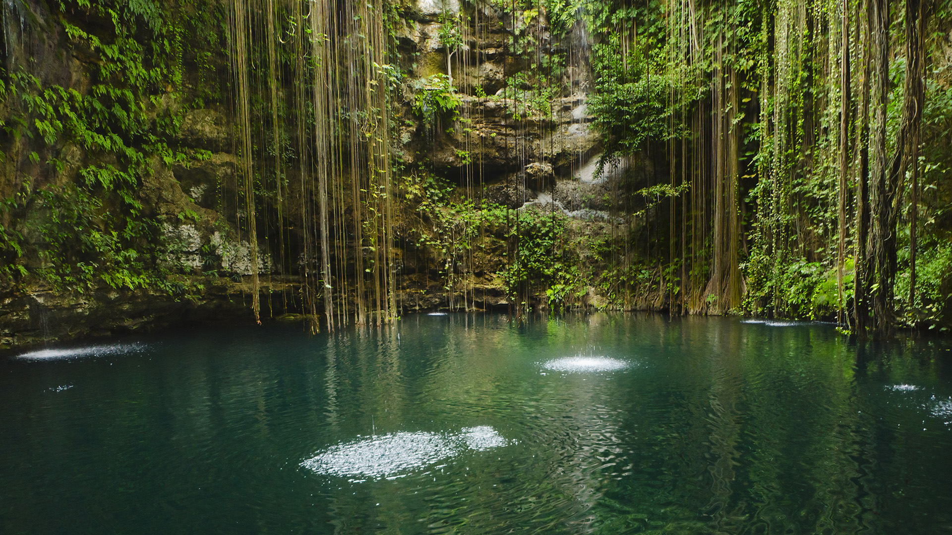 311184 Hintergrundbild herunterladen erde/natur, see, cenote, mexiko, yucatan, seen - Bildschirmschoner und Bilder kostenlos