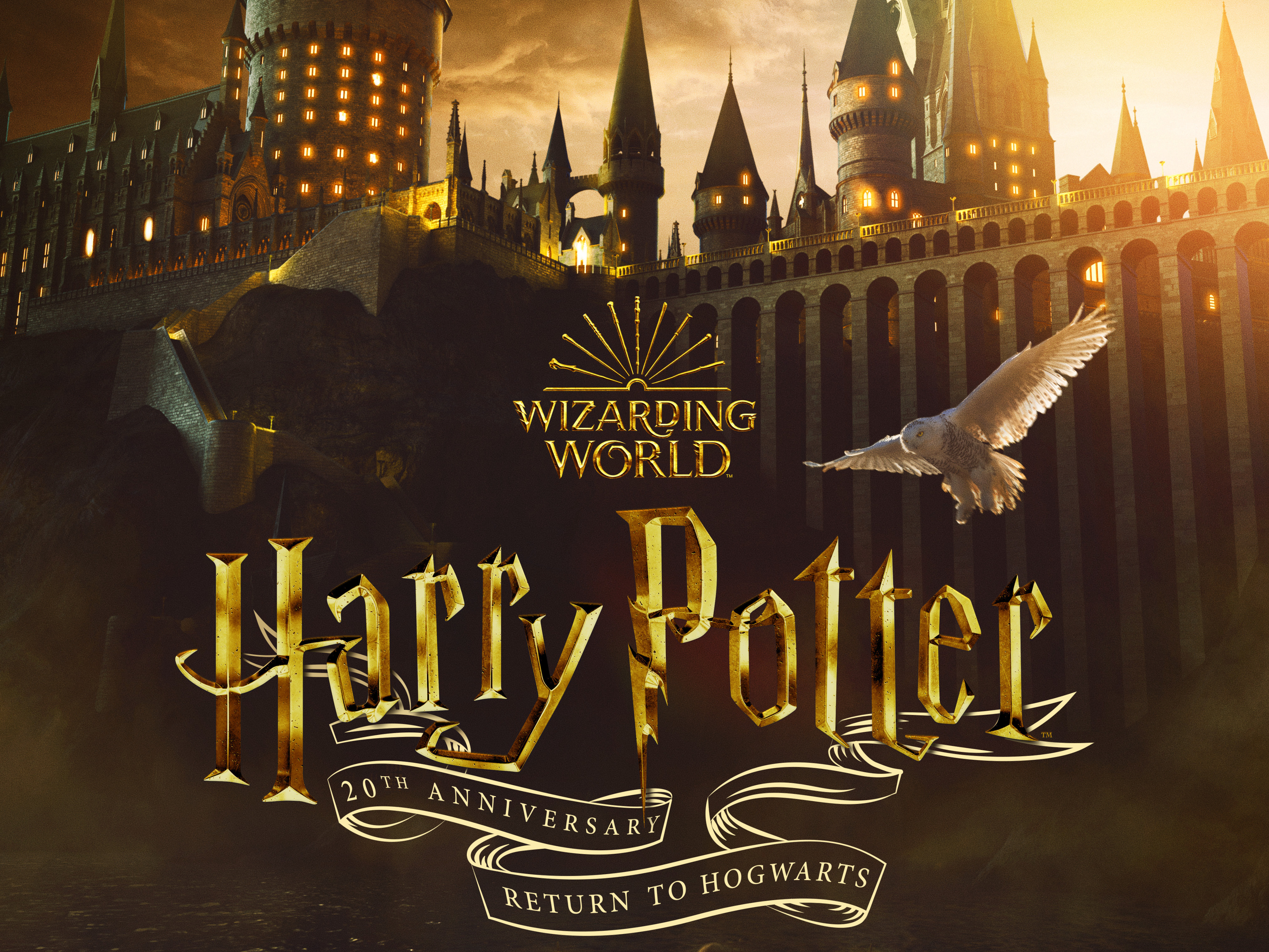 1058300 baixar imagens filme, comemoração de 20 anos de harry potter: de volta a hogwarts - papéis de parede e protetores de tela gratuitamente