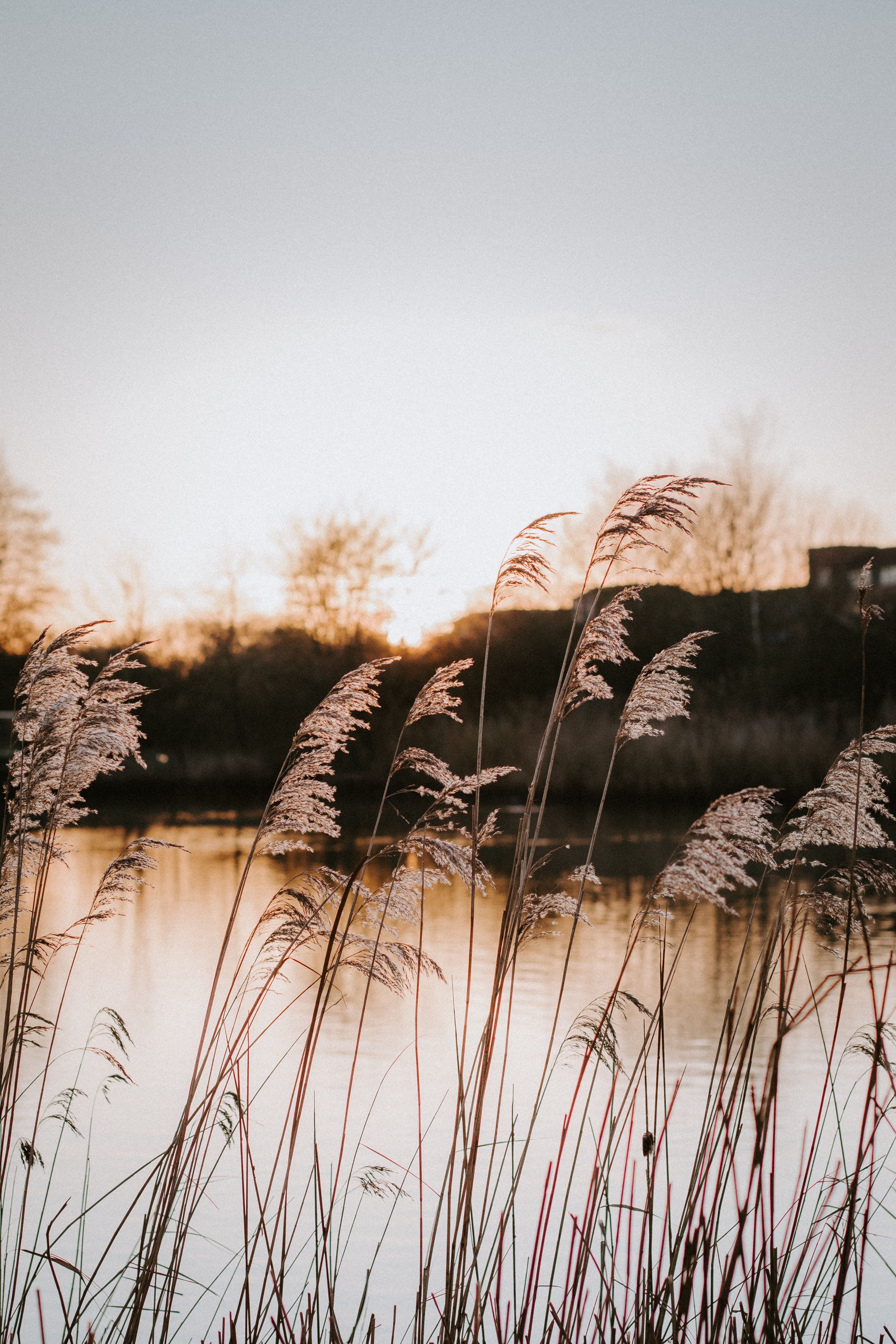 Handy-Wallpaper See, Ufer, Bank, Natur, Grass kostenlos herunterladen.