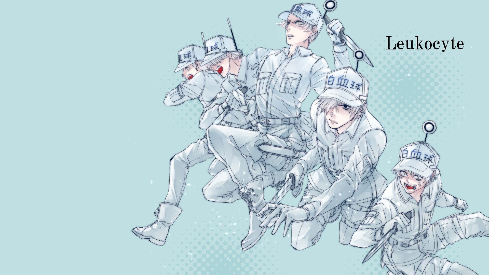 anime, cells at work!, u 1146 (cells at work!)