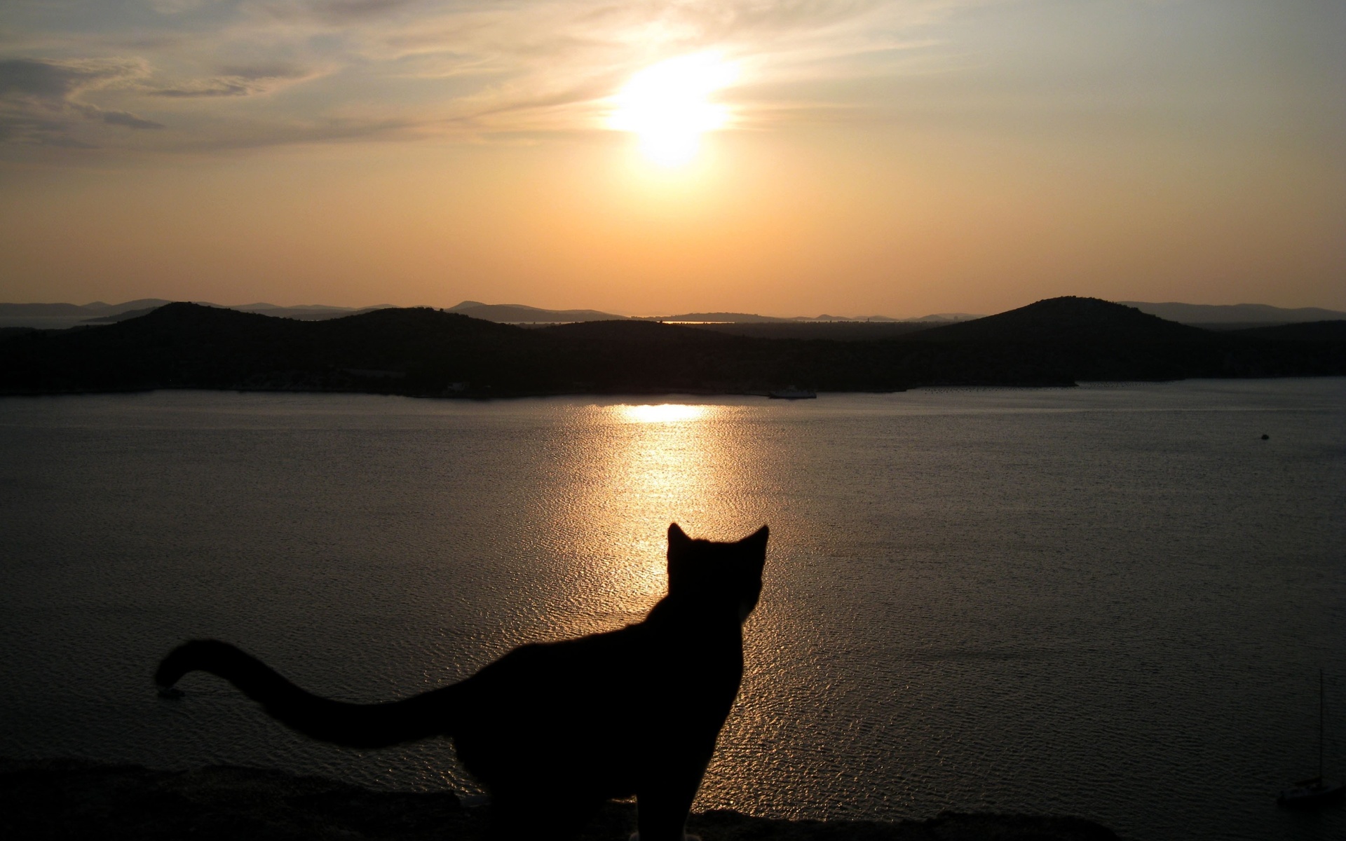 Baixar papel de parede para celular de Cênico, Gato, Gatos, Animais, Montanha, Pôr Do Sol, Paisagem gratuito.