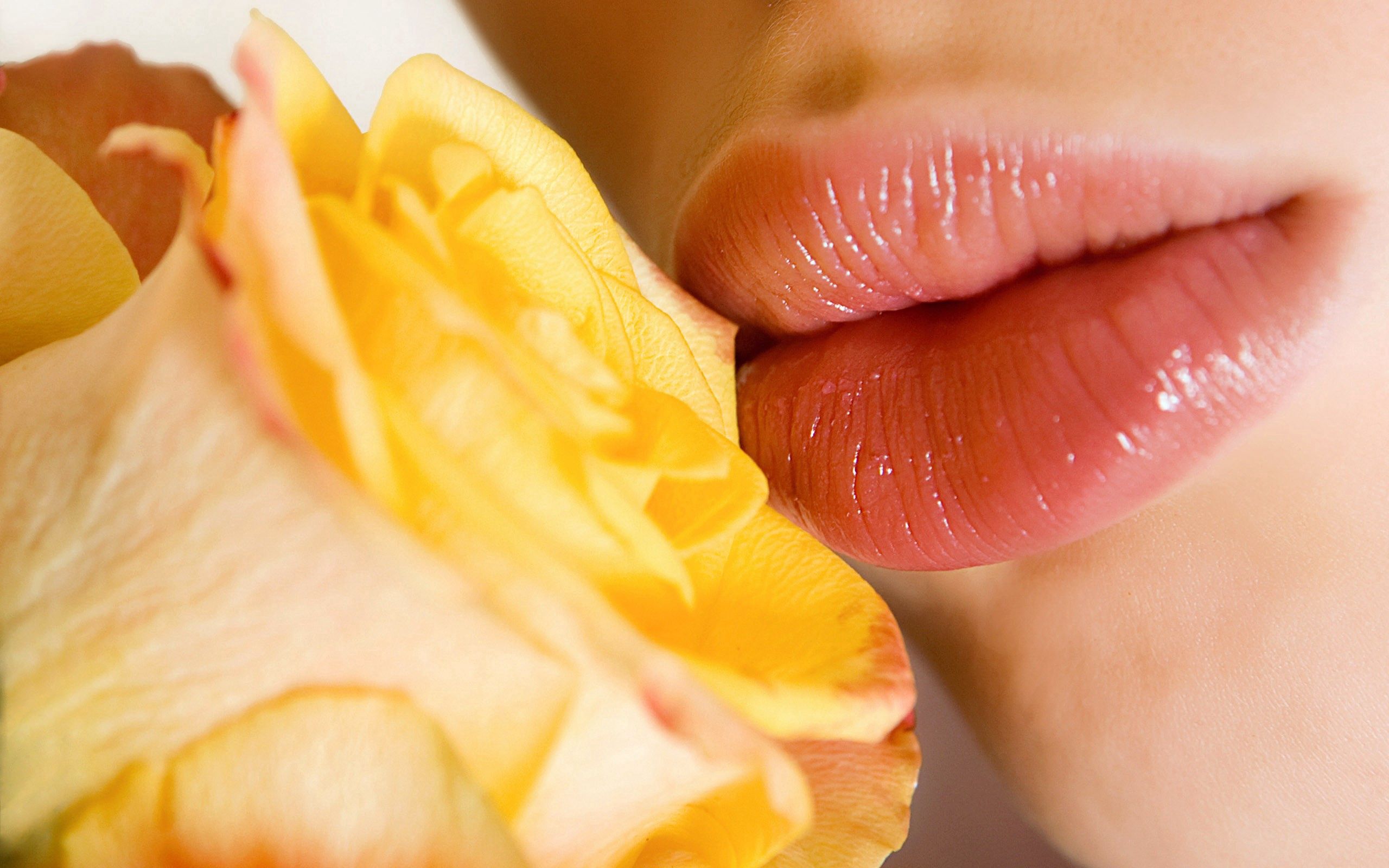 Handy-Wallpaper Blume, Lippen, Rosa, Makro, Zärtlichkeit kostenlos herunterladen.