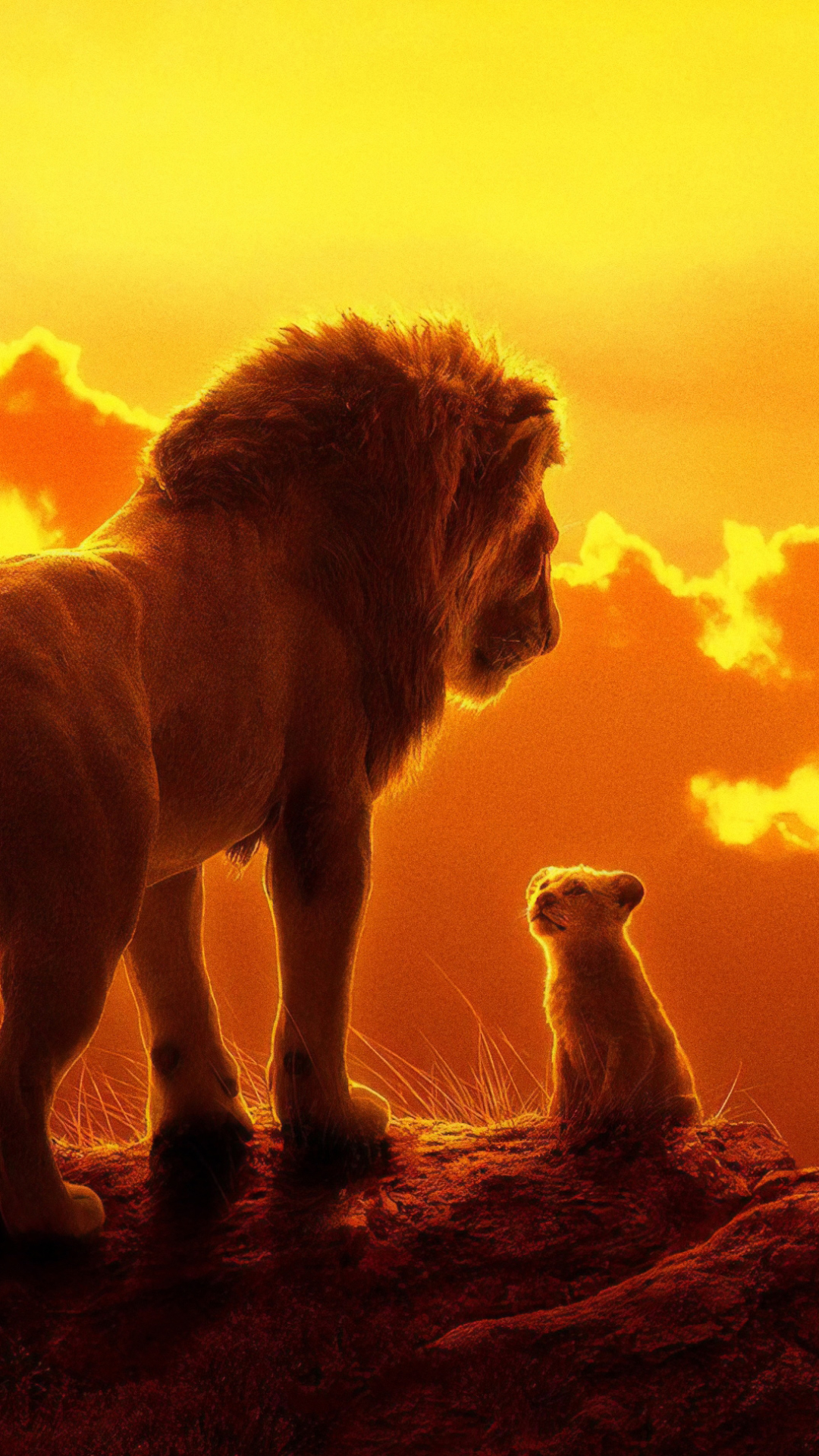 movie, the lion king (2019) wallpapers for tablet