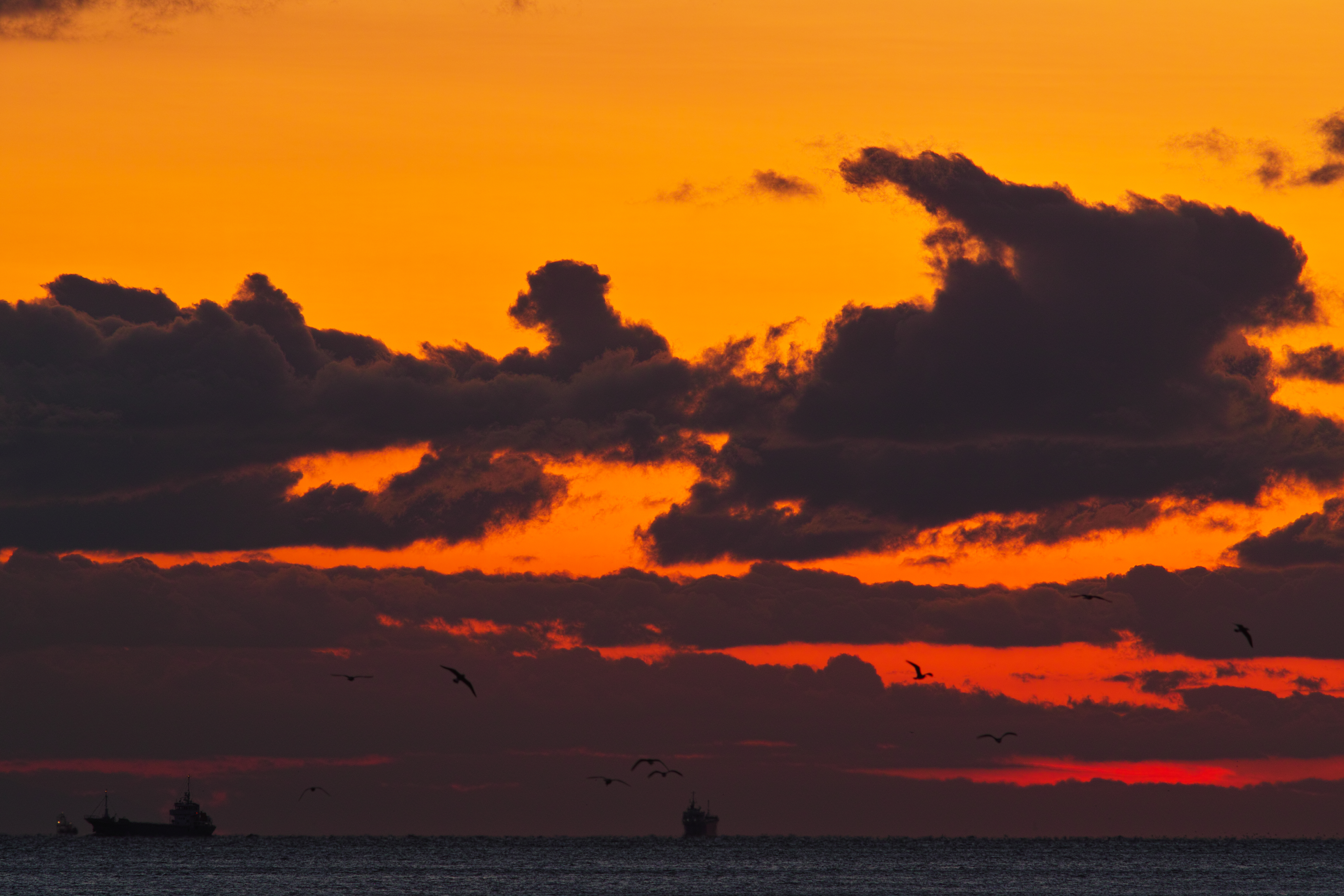 Download mobile wallpaper Clouds, Sunset, Sea, Ship, Birds, Dark for free.