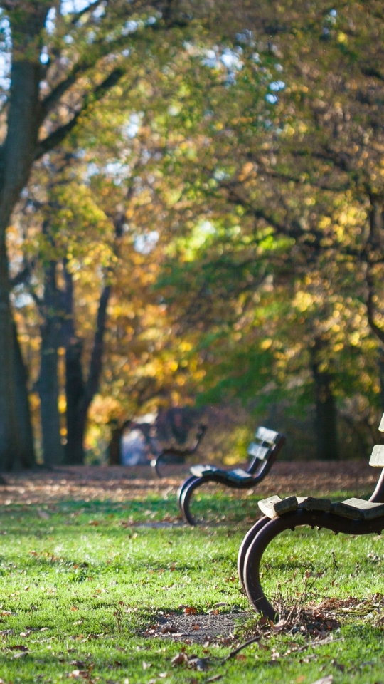 Download mobile wallpaper Park, Tree, Bench, Photography, Depth Of Field for free.