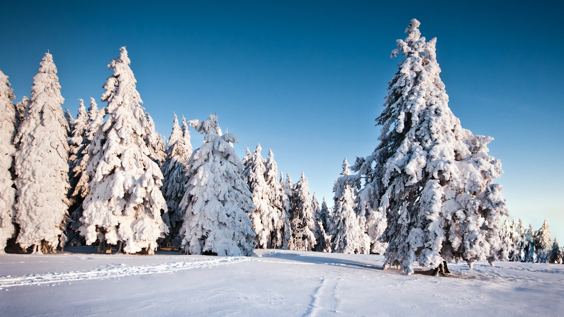 Handy-Wallpaper Landschaft, Erde/natur kostenlos herunterladen.