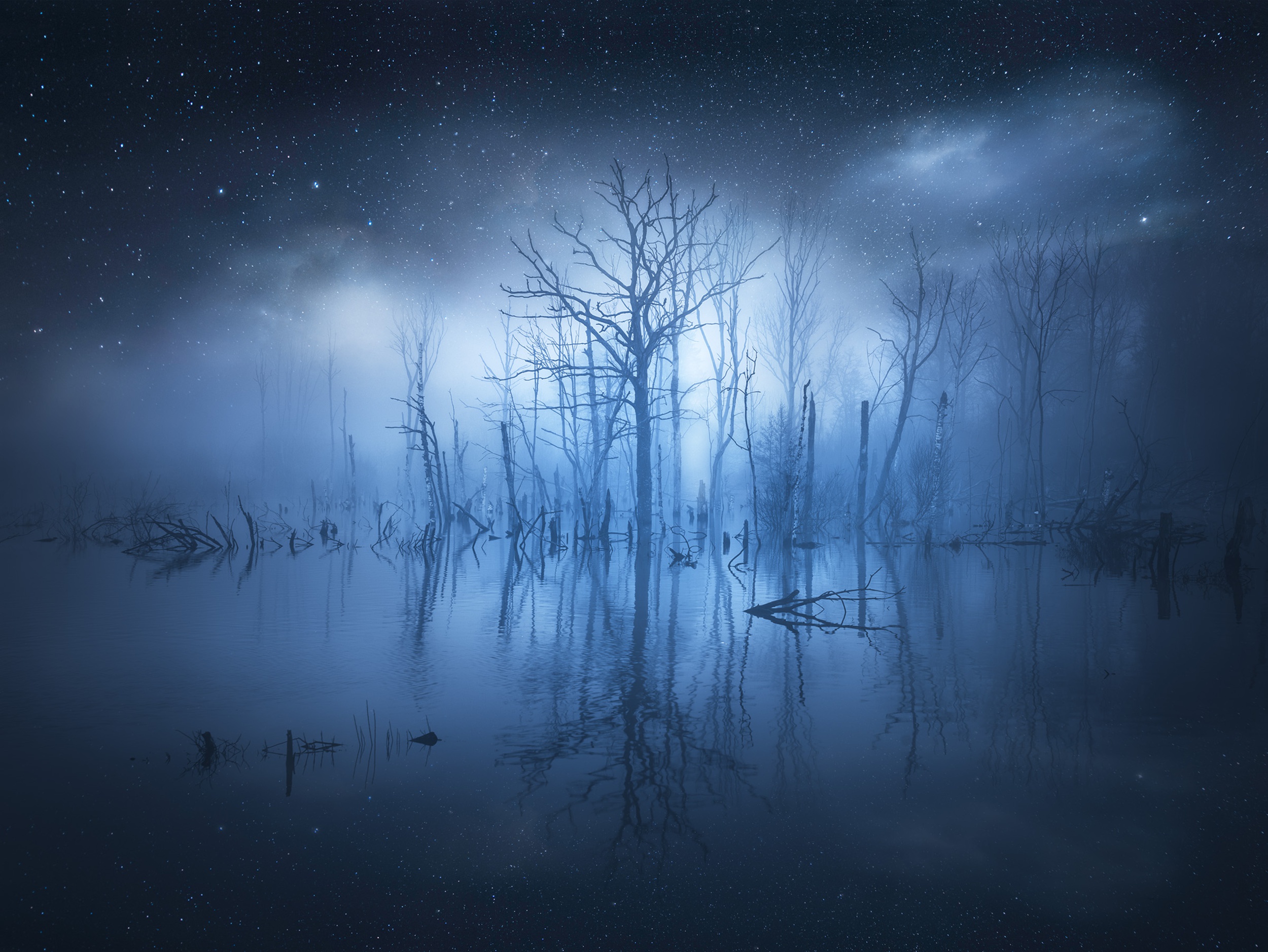 Laden Sie das Wasser, Sterne, Baum, Nebel, Nacht, Erde/natur, Spiegelung-Bild kostenlos auf Ihren PC-Desktop herunter