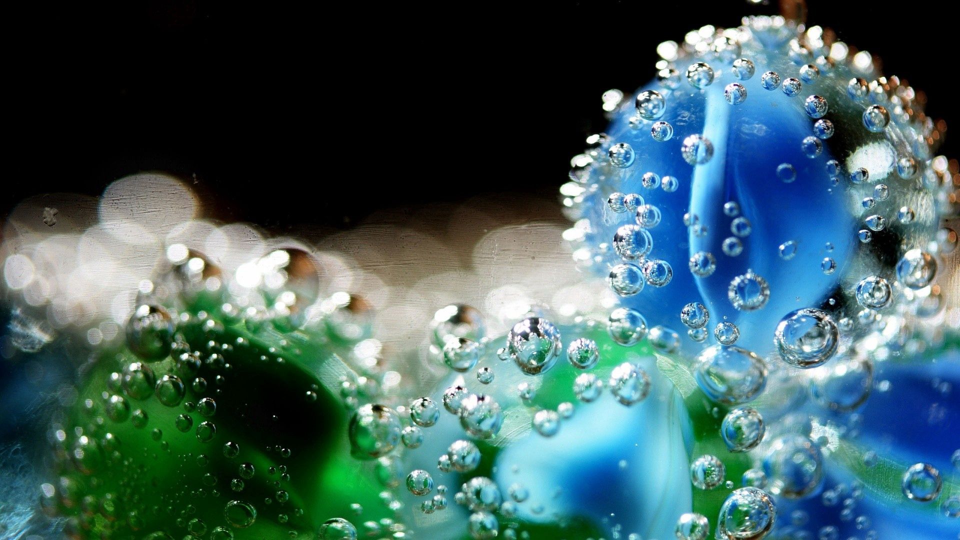 Download mobile wallpaper Macro, Water, Flower, Drops, Immersion for free.