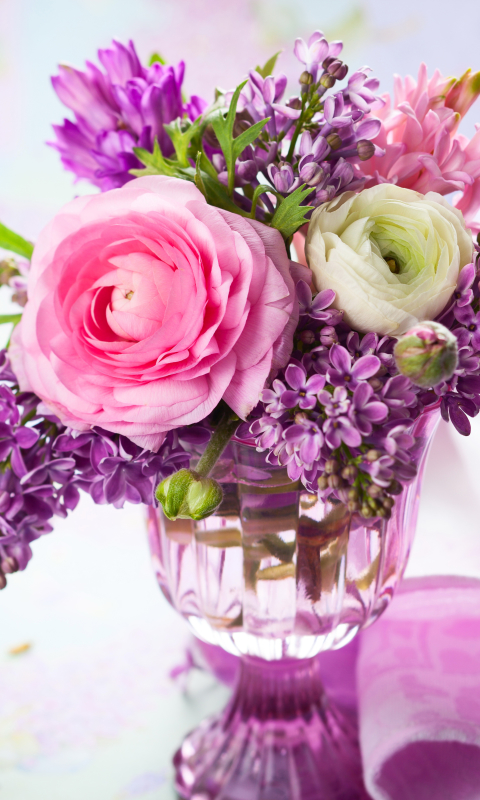 無料モバイル壁紙ライラック, 静物, 花, 色, マンメイド, ピンクの花, 紫色の花, ラナンキュラをダウンロードします。