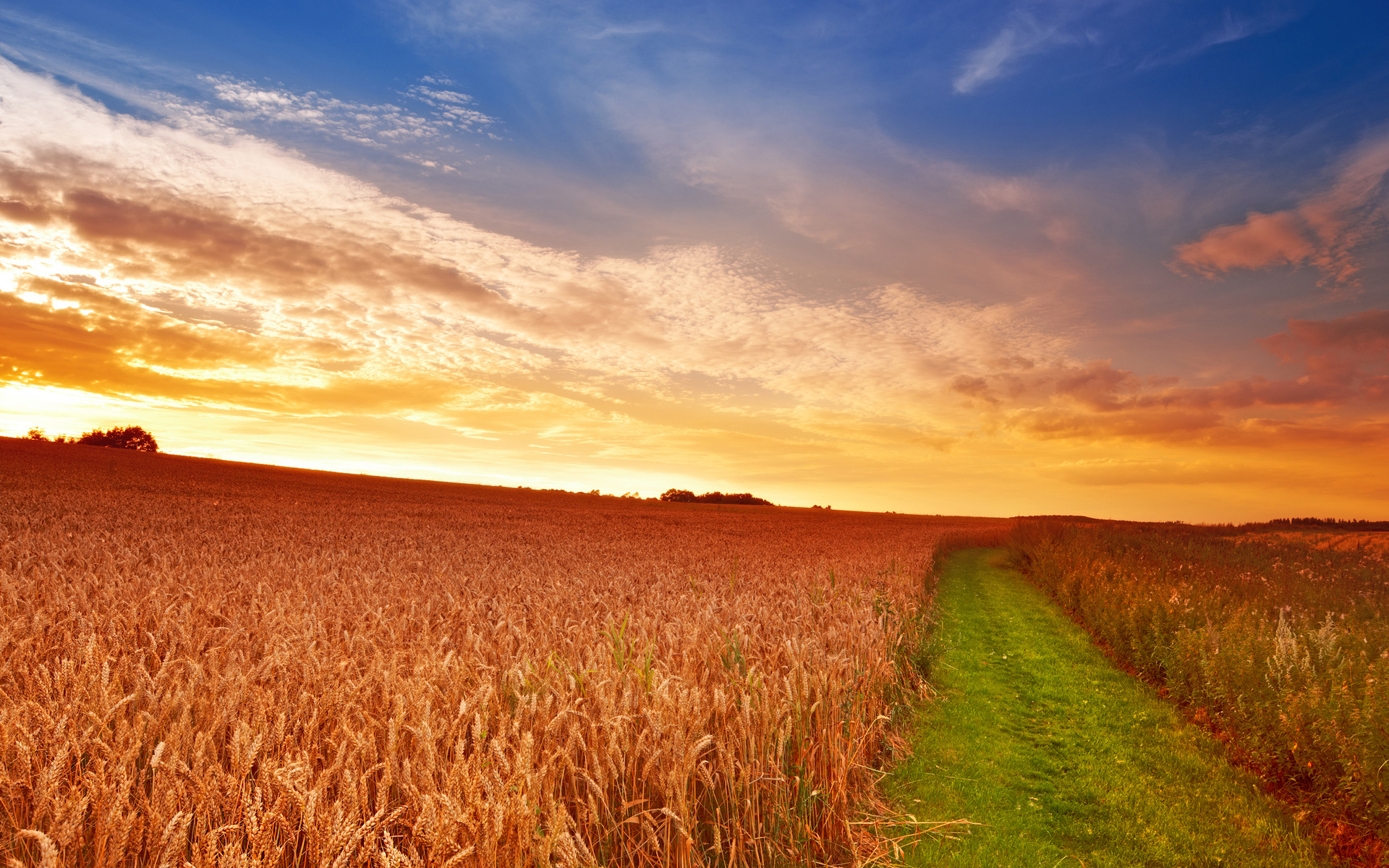 Laden Sie das Weizen, Erde/natur, Aufstellen-Bild kostenlos auf Ihren PC-Desktop herunter