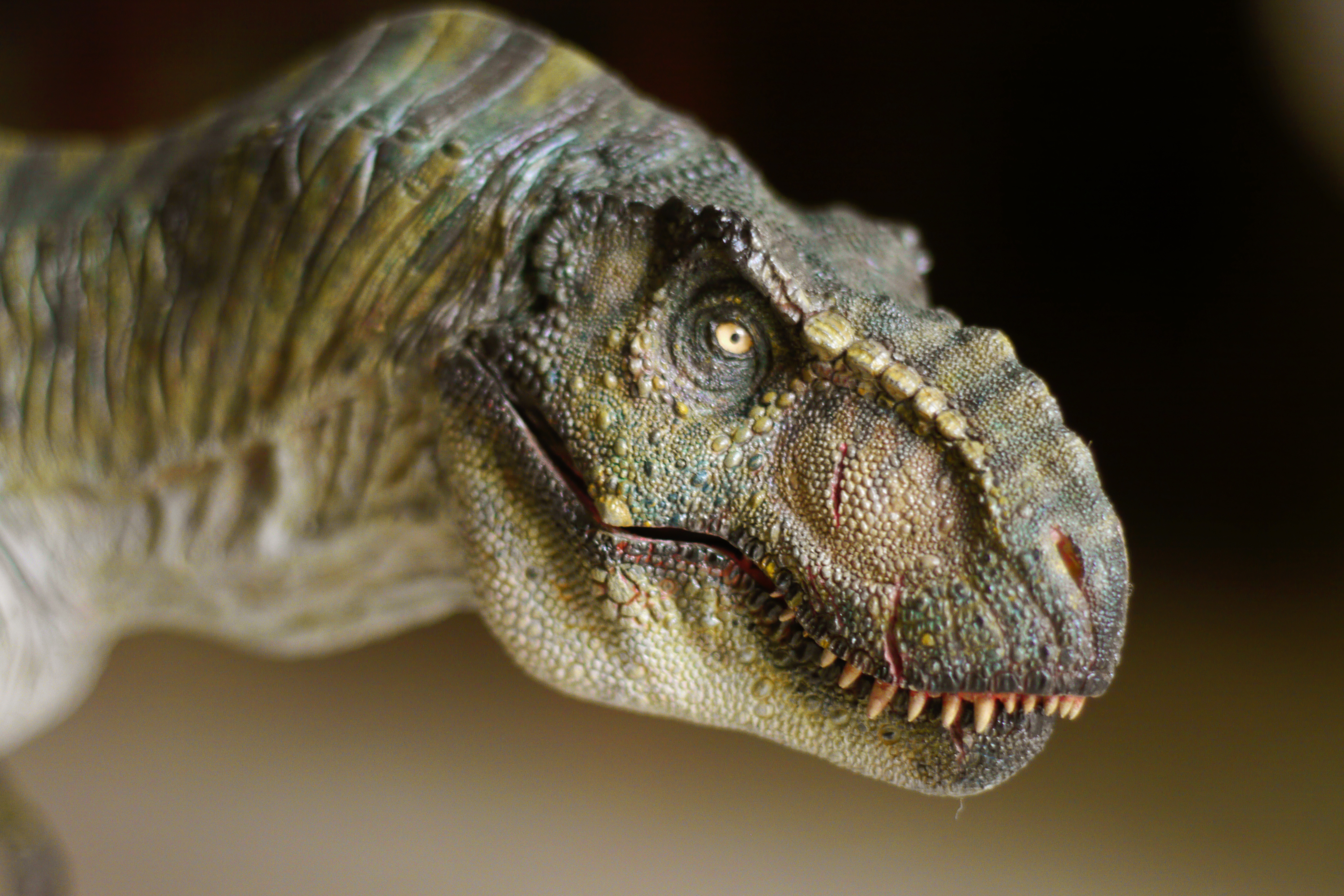 372532 Hintergrundbild herunterladen tiere, tyrannosaurus rex, dinosaurier - Bildschirmschoner und Bilder kostenlos