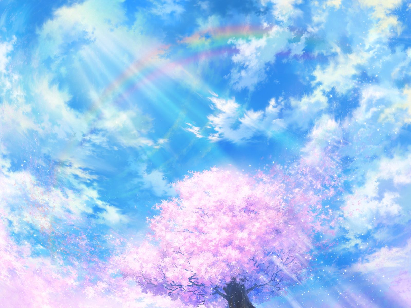 sakura, bright, abstract, sky, shine, light, wood, tree HD wallpaper